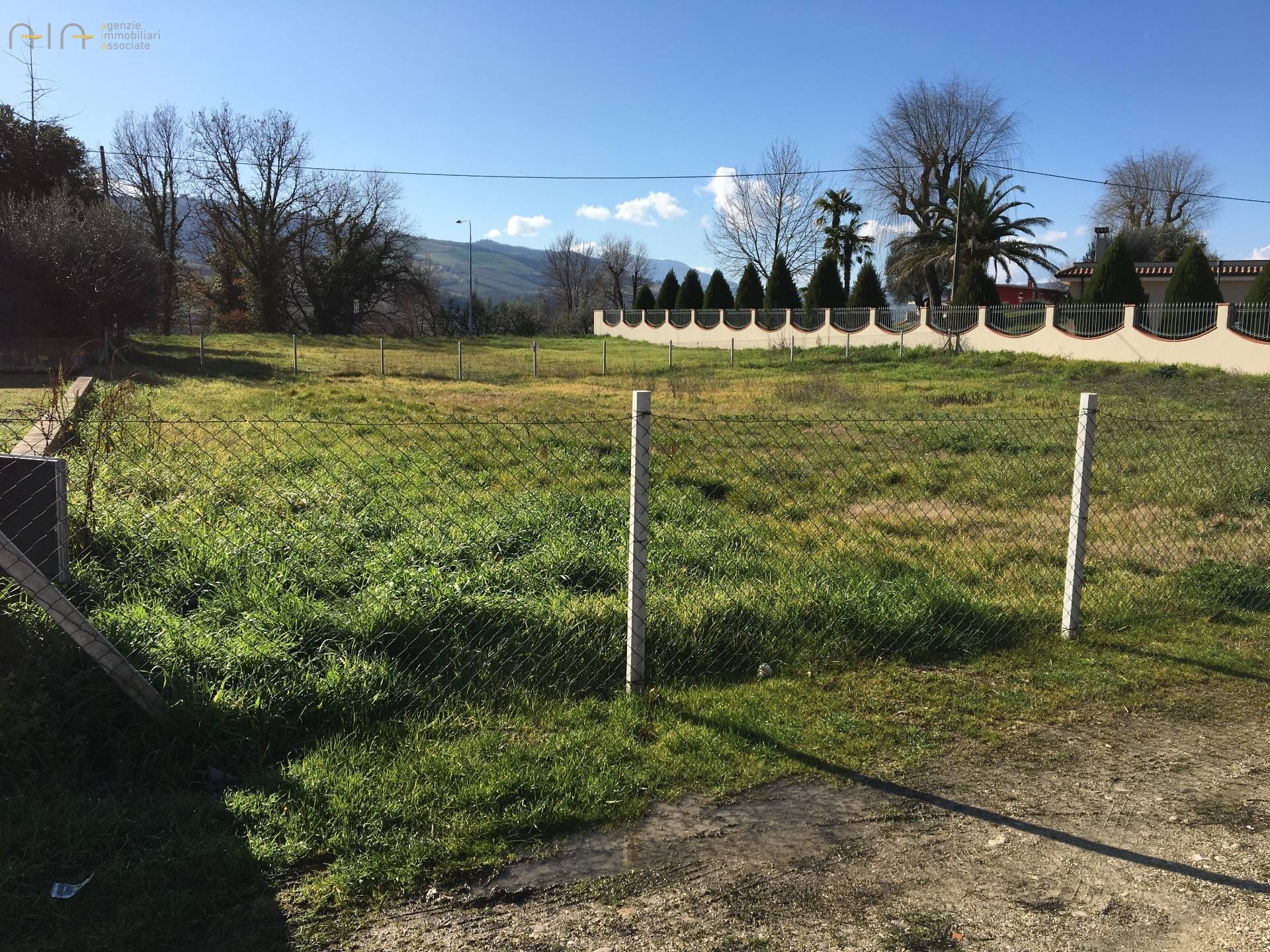 immagine annuncio 5 di 6