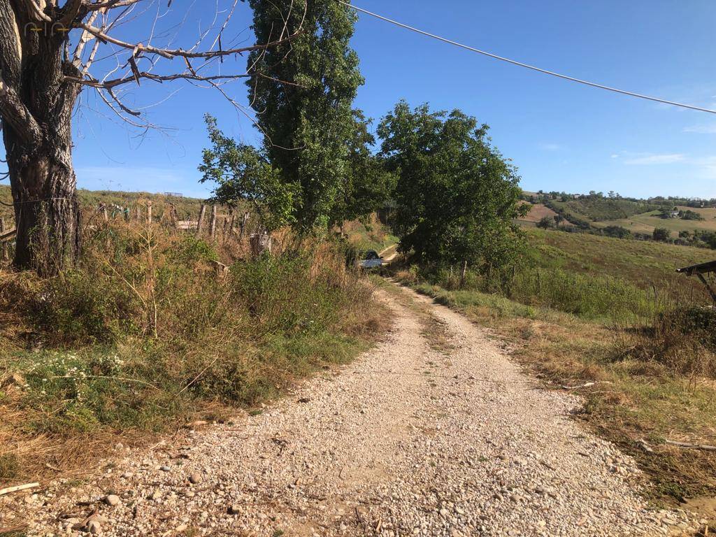 Terreno Agricolo (con / Senza Piccolo Prefabbricato) in vendita a Santa Vittoria in Matenano