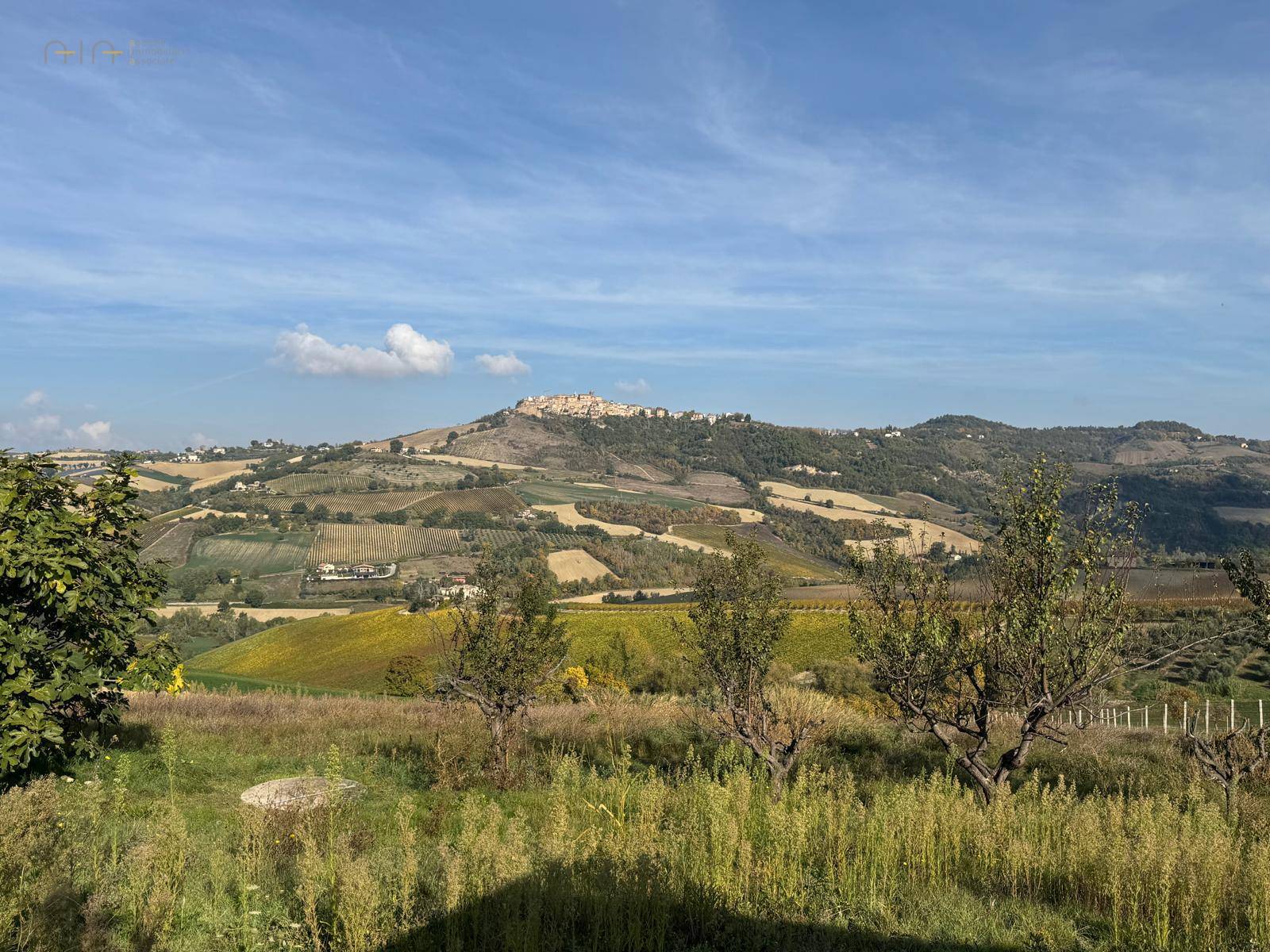 Casa cielo - terra in vendita a Castignano, Collinare