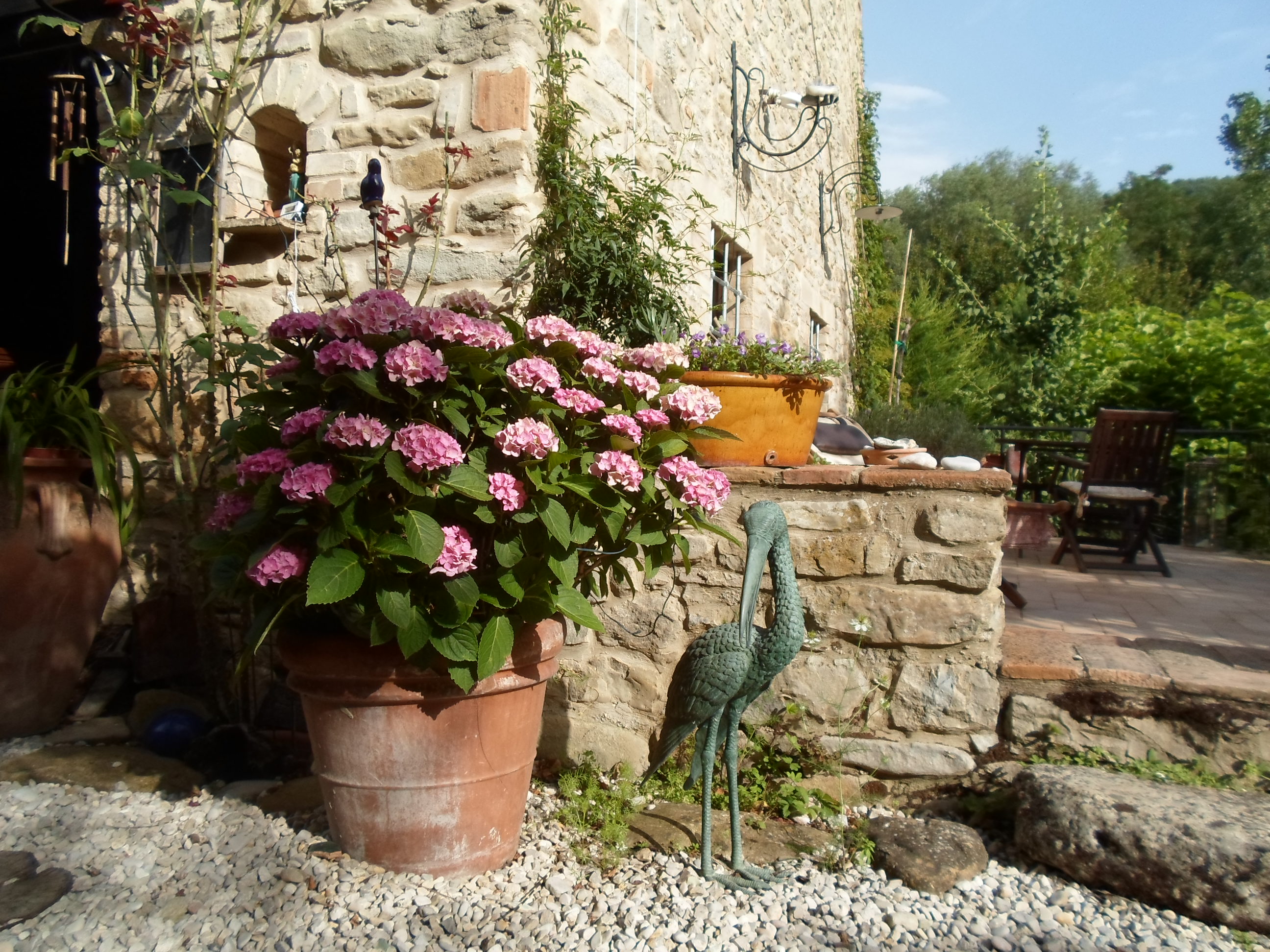 Casale Colonico Rustico in vendita a Force, Collinare