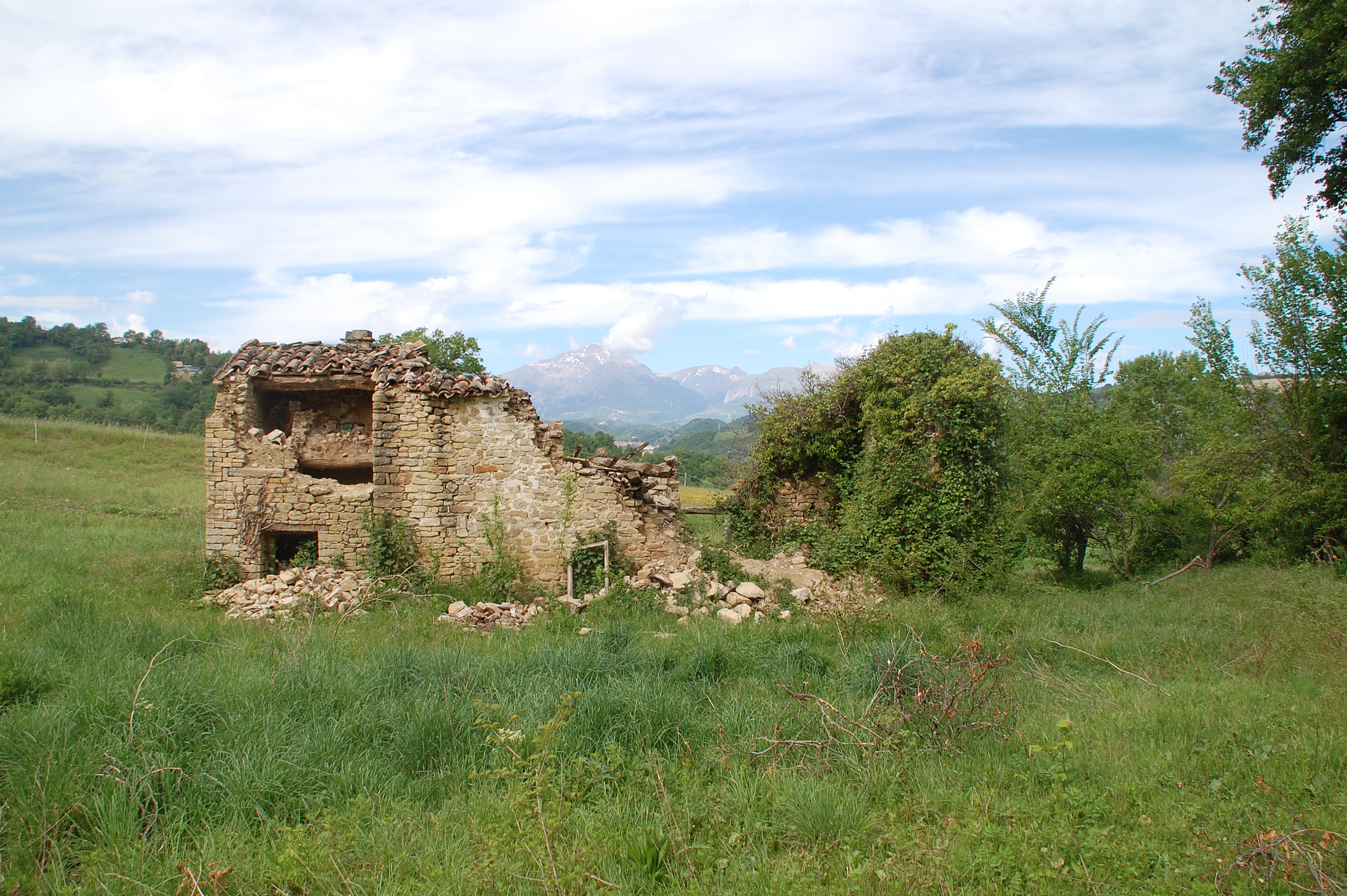 Casale Colonico Rustico in vendita a Force, Collinare