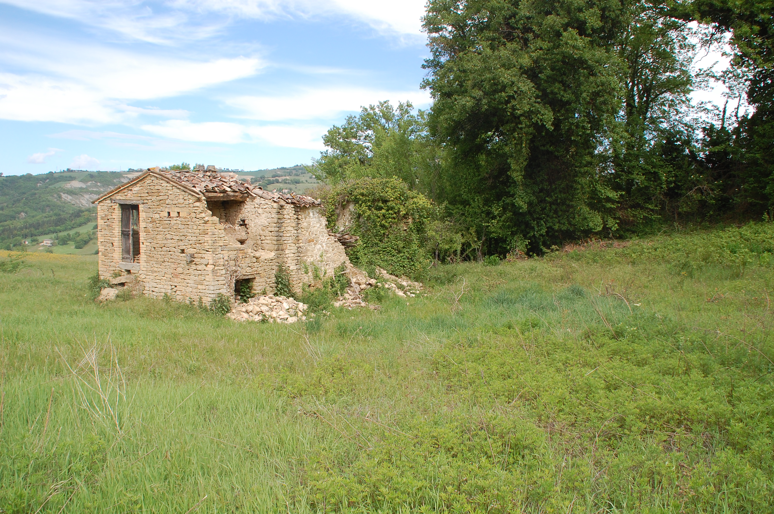 Casale Colonico Rustico in vendita a Force, Collinare