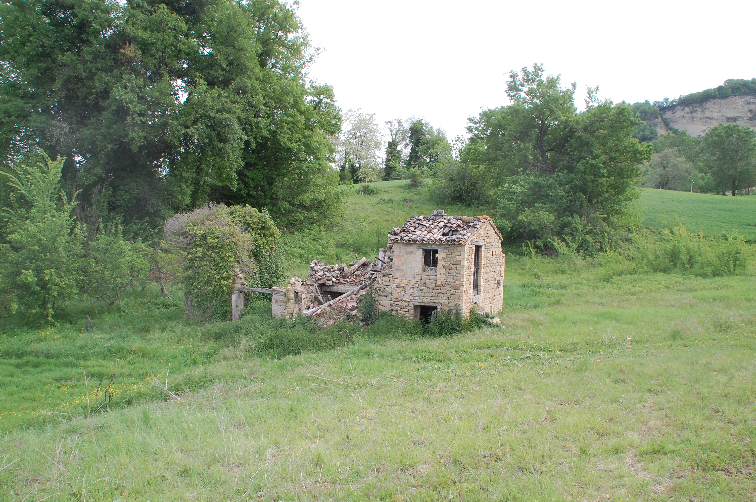 Casale Colonico Rustico in vendita a Force, Collinare