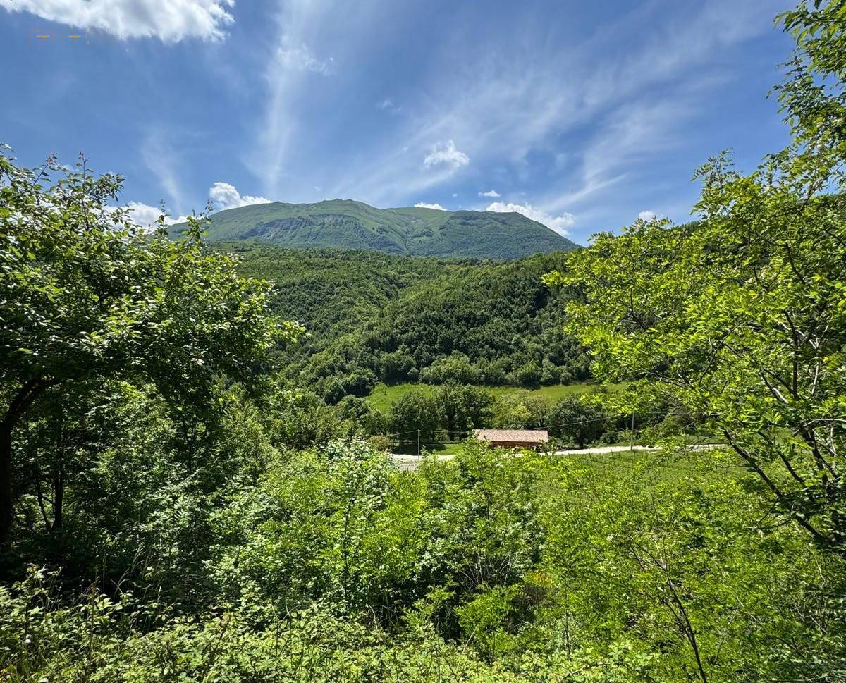 Terreno Agricolo (con / Senza Piccolo Prefabbricato) in vendita a Amandola, Collinare