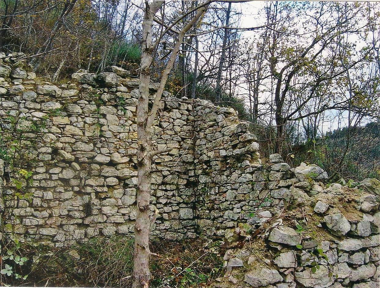 immagine annuncio 4 di 8