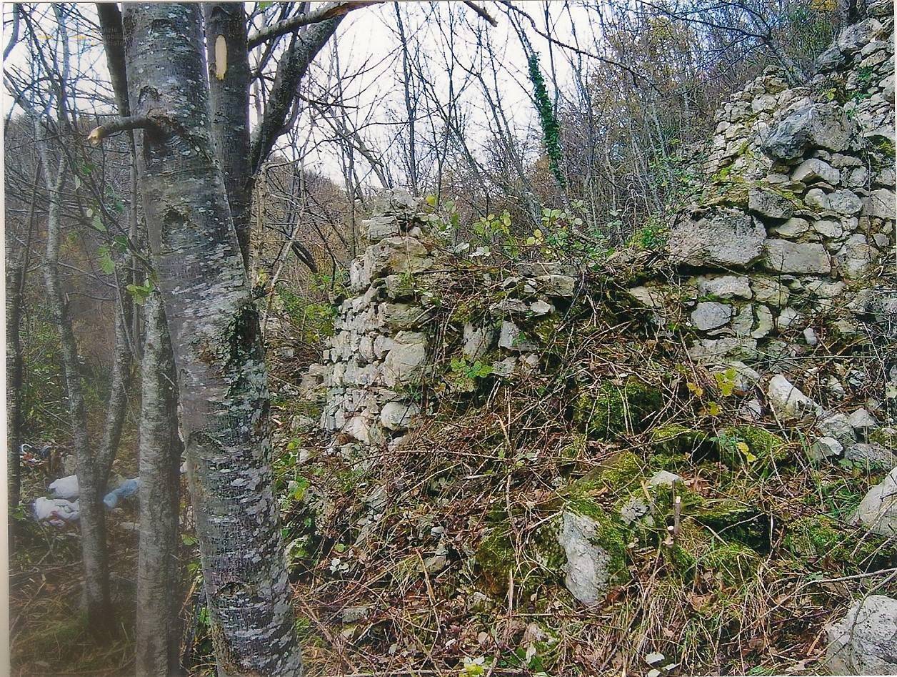 immagine annuncio 5 di 8