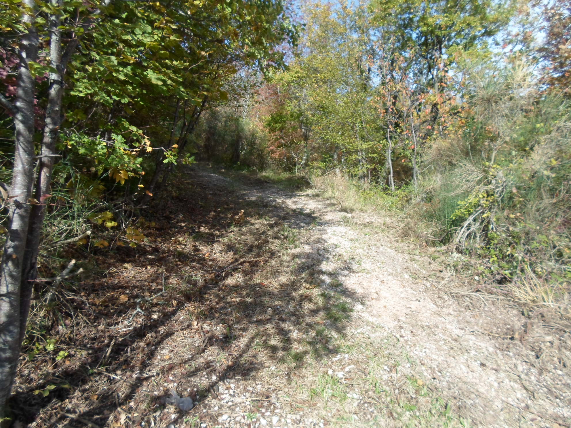 Casale Colonico Rustico in vendita a San Ginesio