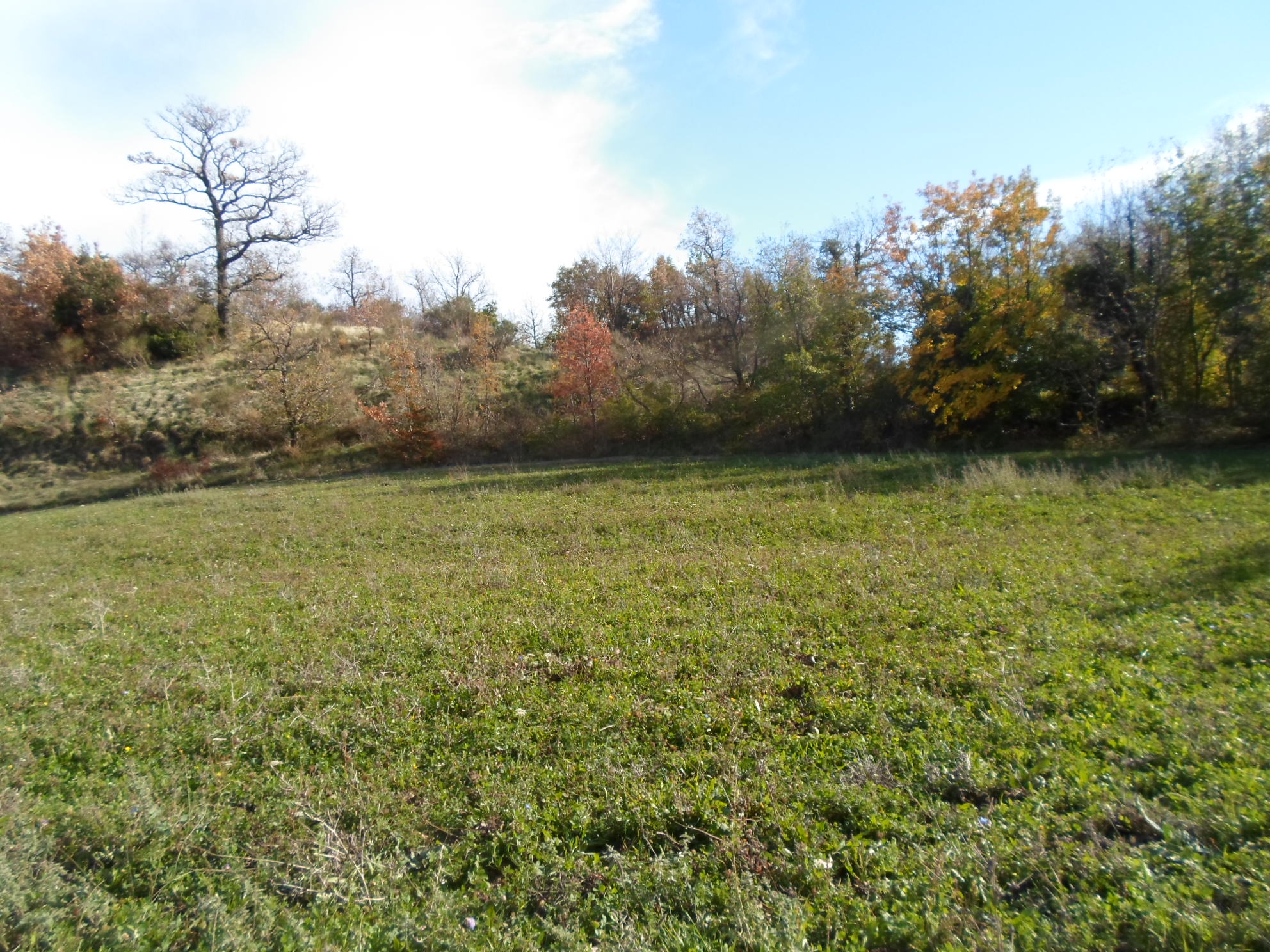 Casale Colonico Rustico in vendita a San Ginesio