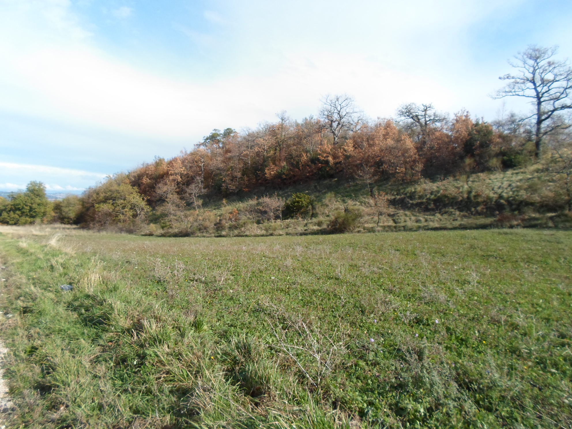 Casale Colonico Rustico in vendita a San Ginesio