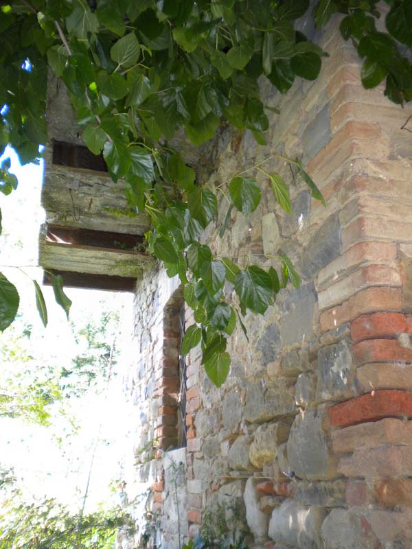 Casale Colonico Rustico in vendita a Comunanza, Montana