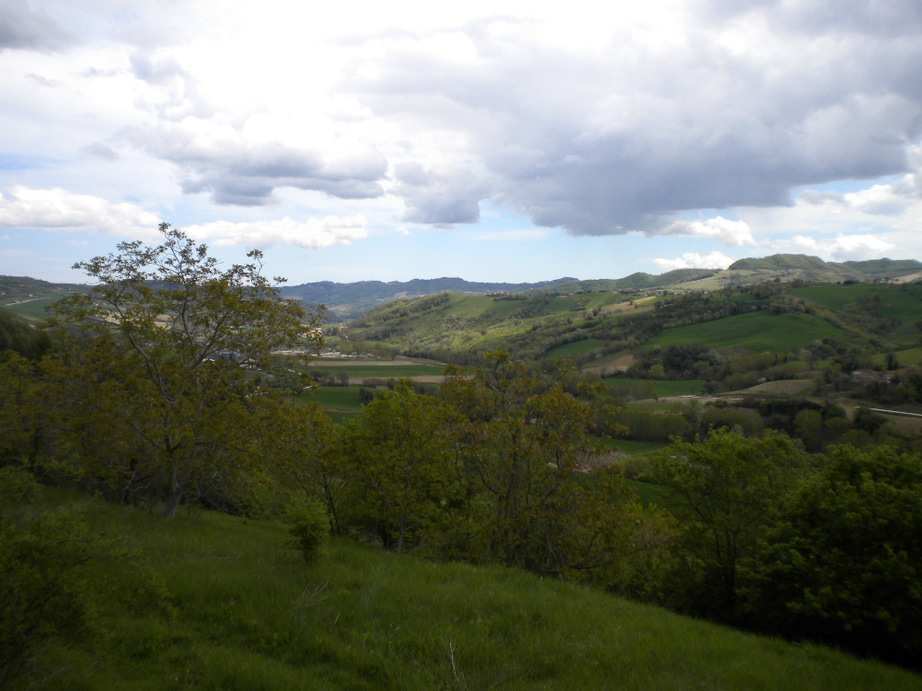 Casale Colonico Rustico in vendita a Montefalcone Appennino, Collinare