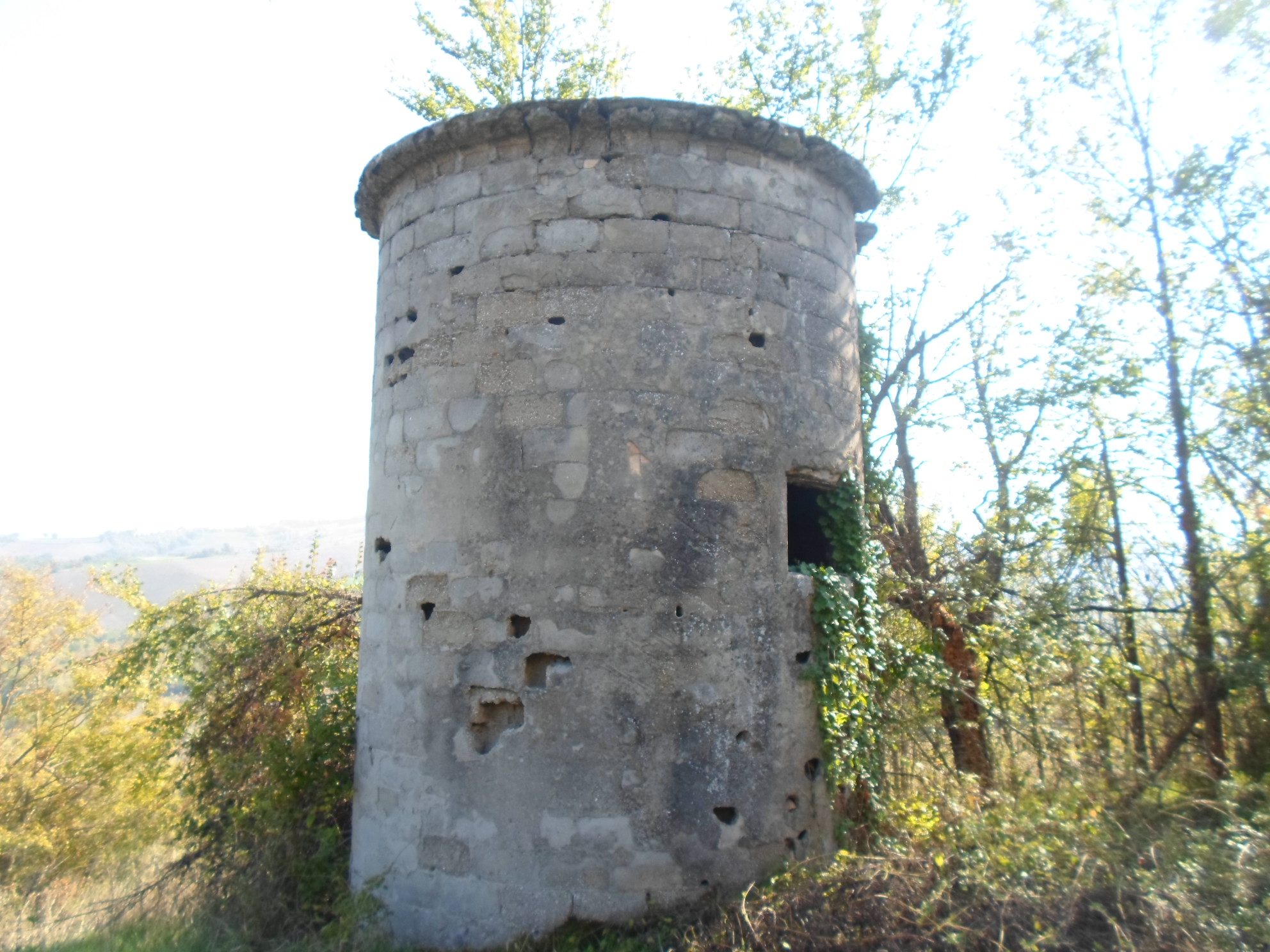 Casale Colonico Rustico in vendita a Montefalcone Appennino, Collinare