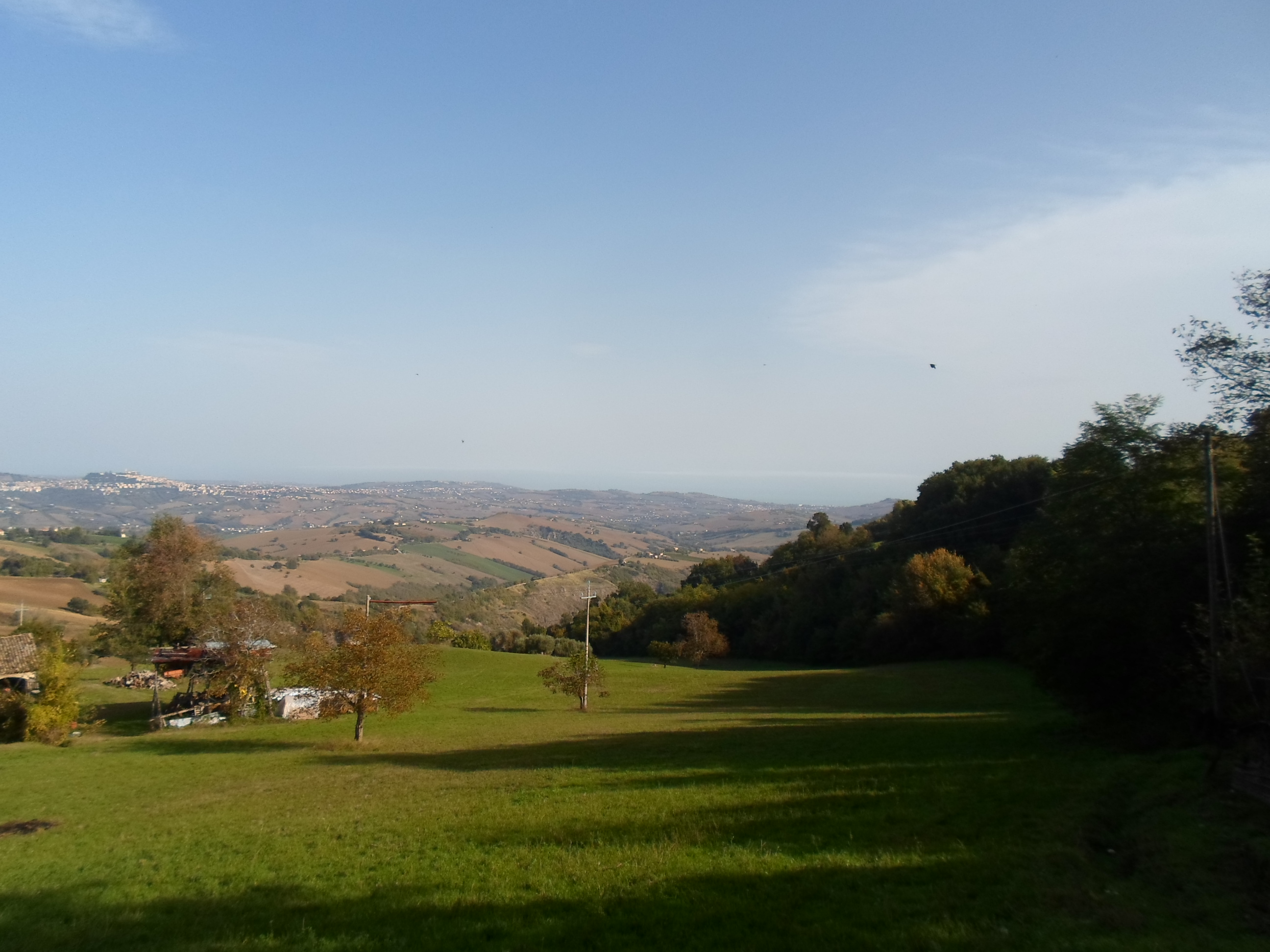 Casale Colonico Rustico in vendita a Monterubbiano