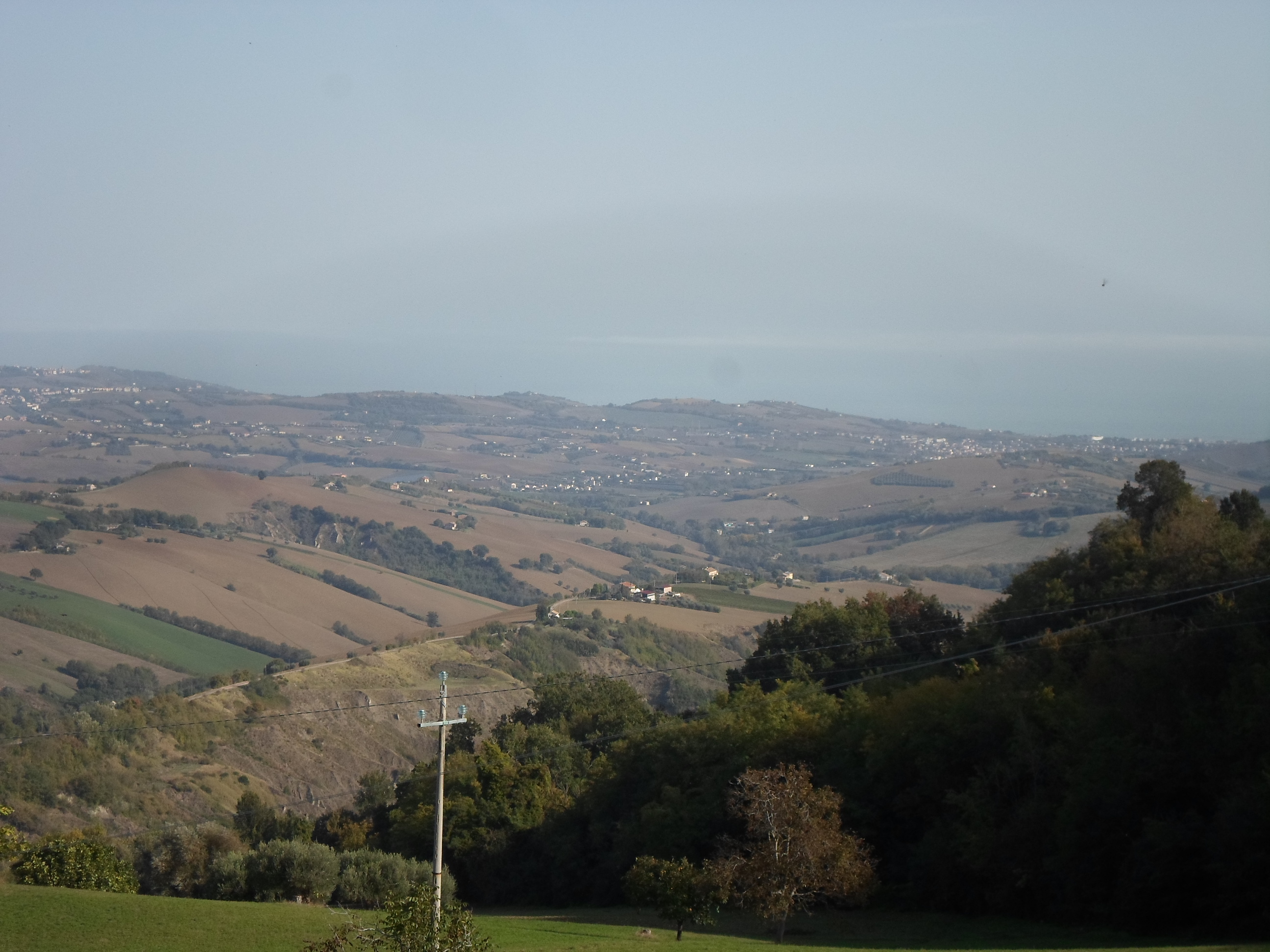 Casale Colonico Rustico in vendita a Monterubbiano