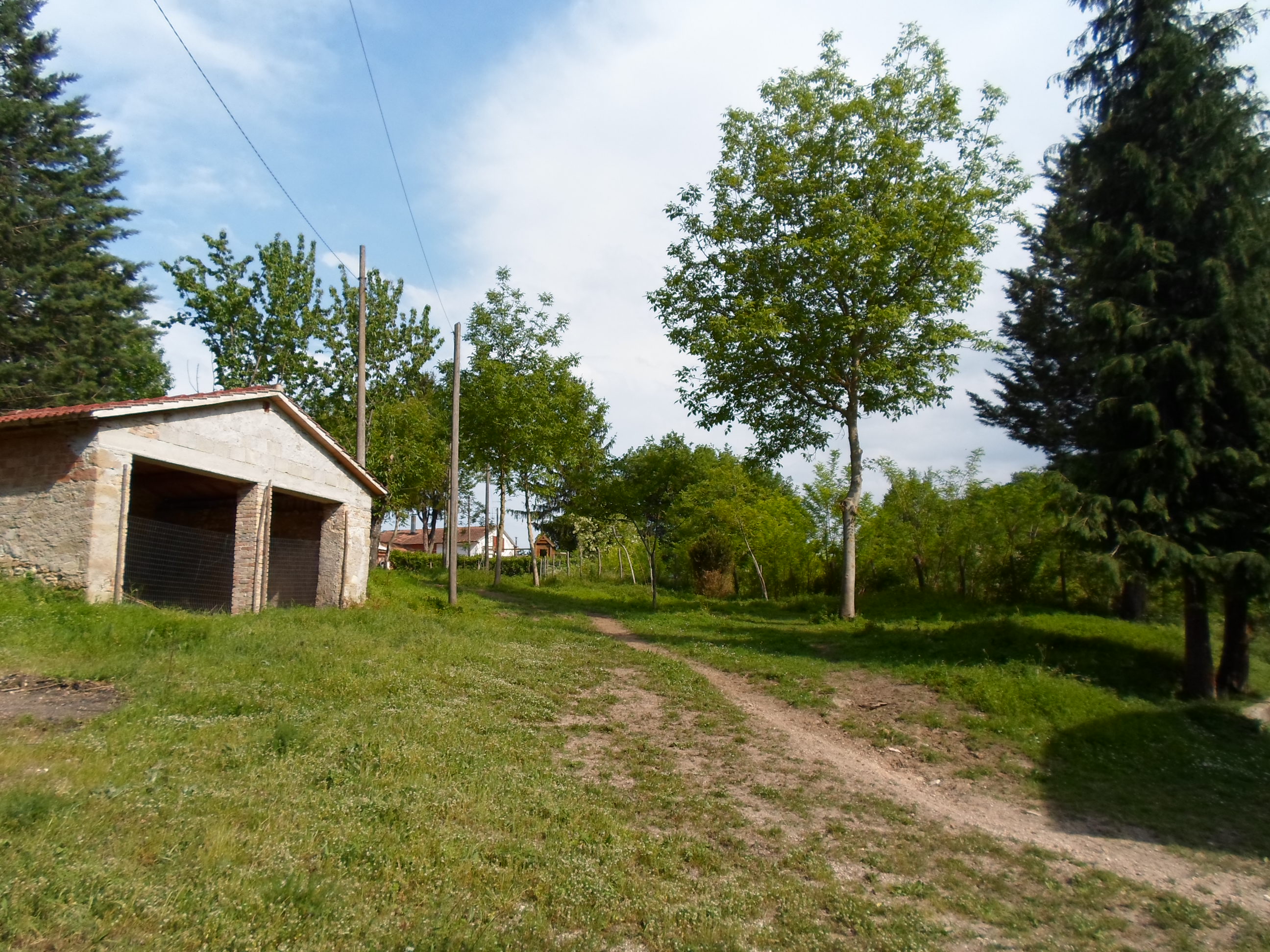 Casale Colonico Rustico in vendita a San Ginesio