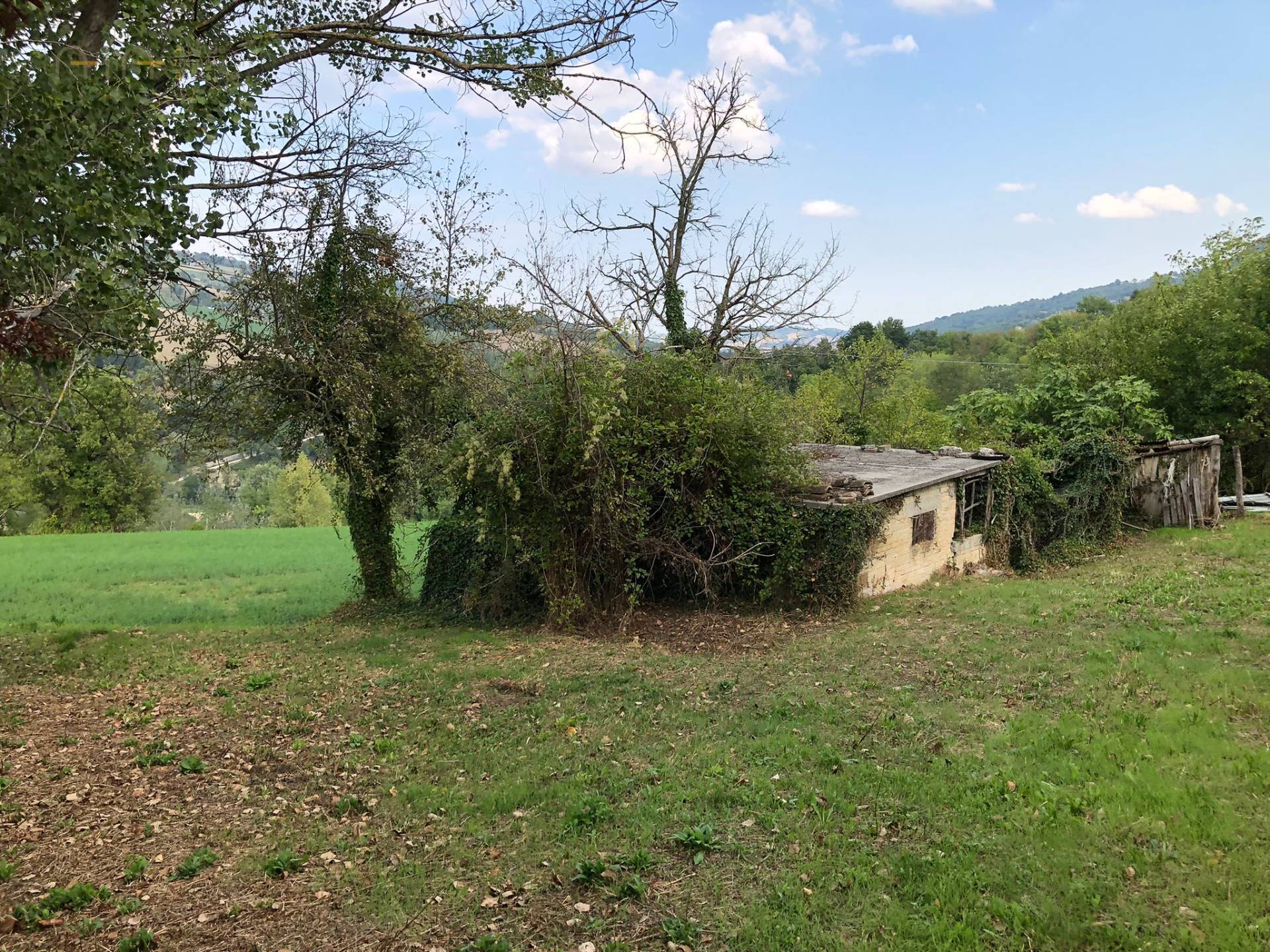 Casale Colonico Rustico in vendita a Penna San Giovanni