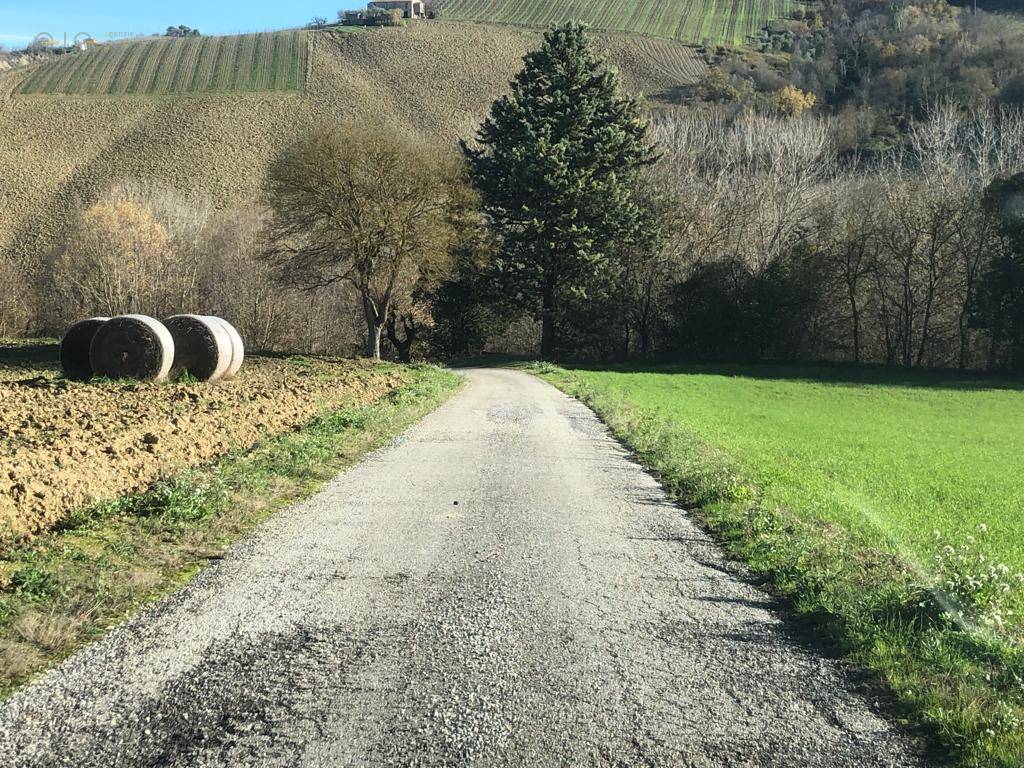 Villa singola in vendita a Ripatransone, Collinare
