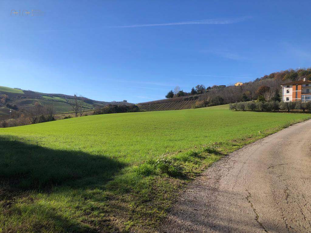 Villa singola in vendita a Ripatransone, Collinare