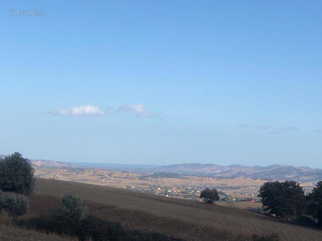 Terreno Agricolo in vendita a Treia