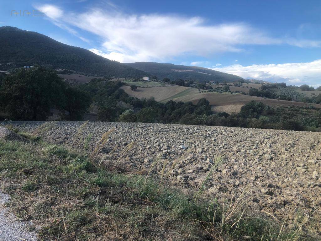 Terreno Agricolo in vendita a Treia