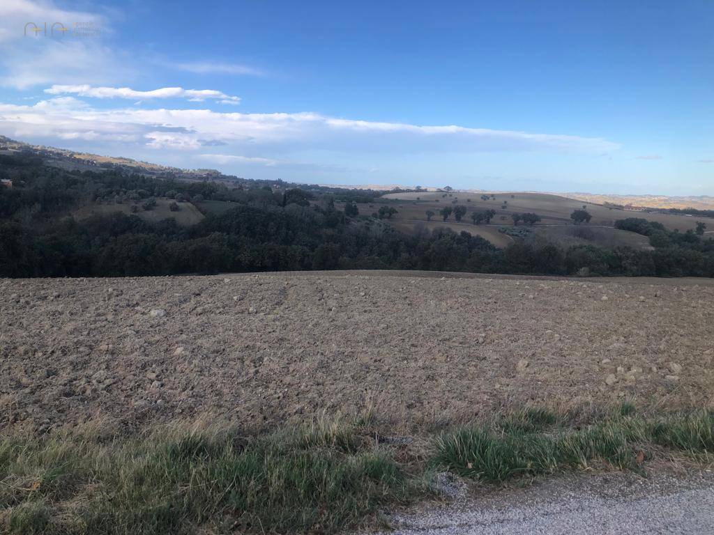 Terreno Agricolo in vendita a Treia