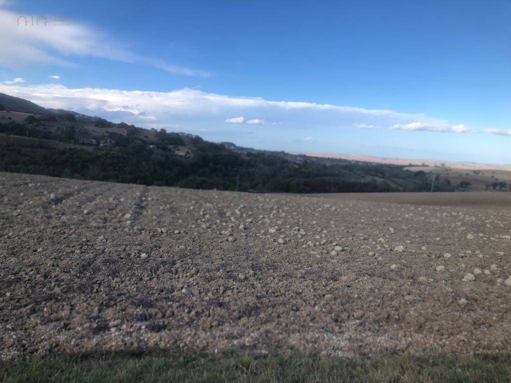 Terreno Agricolo in vendita a Treia
