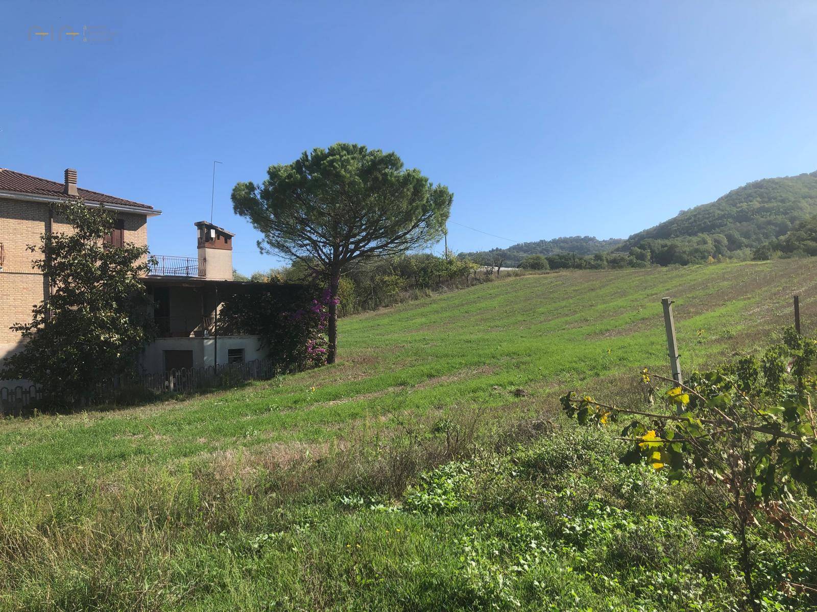 Casa cielo - terra in vendita a Montalto delle Marche, Collinare