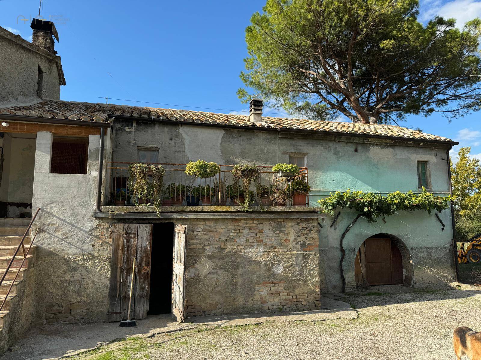 Casale Colonico Rustico in vendita a Servigliano
