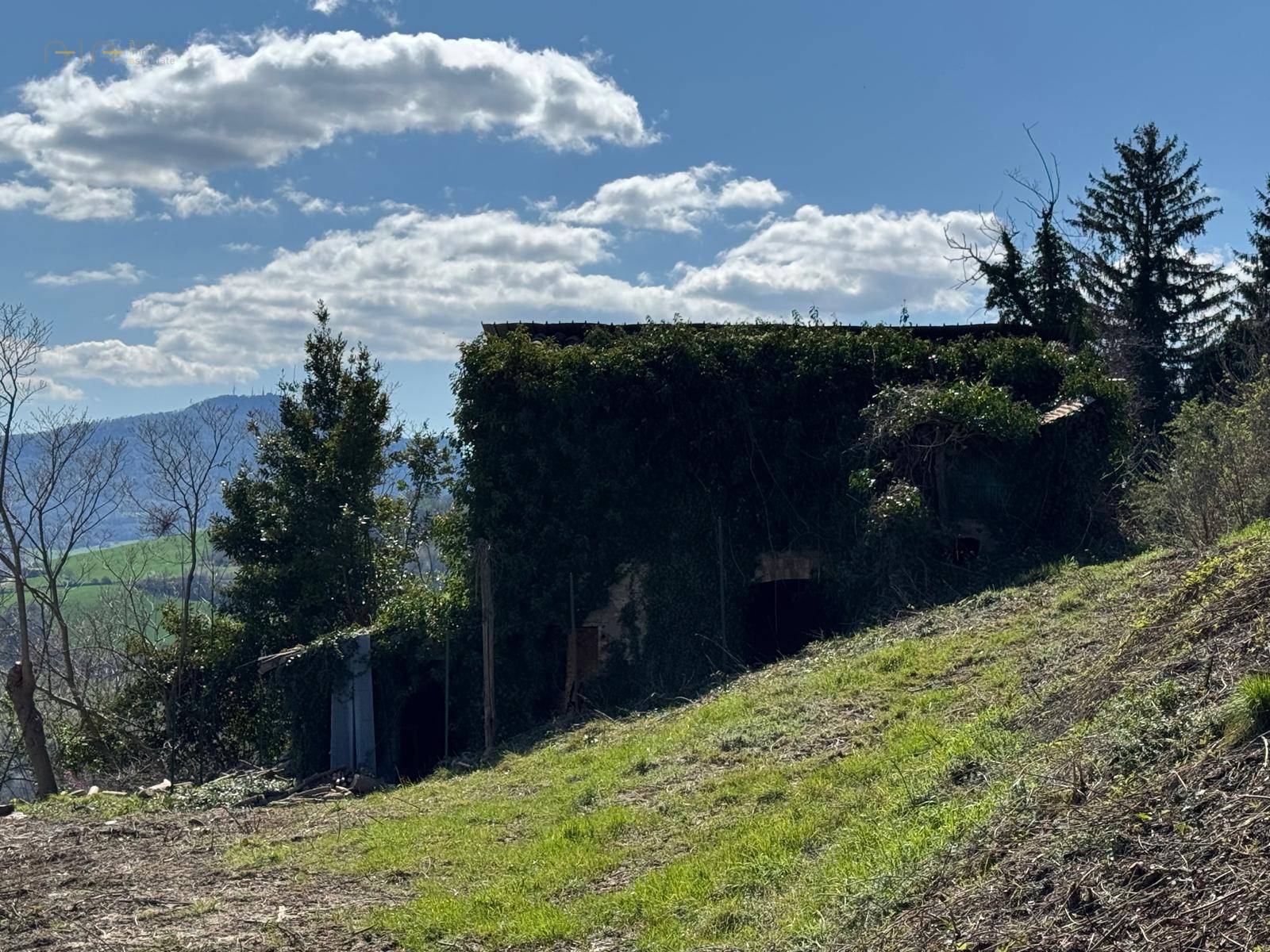 Casale Colonico Rustico in vendita a Force, Centrale / Centro Storico