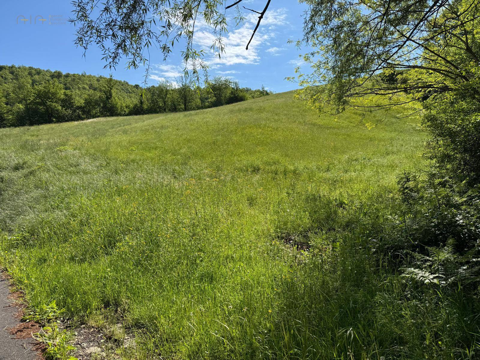 Terreno Agricolo in vendita a Montefortino, Montana