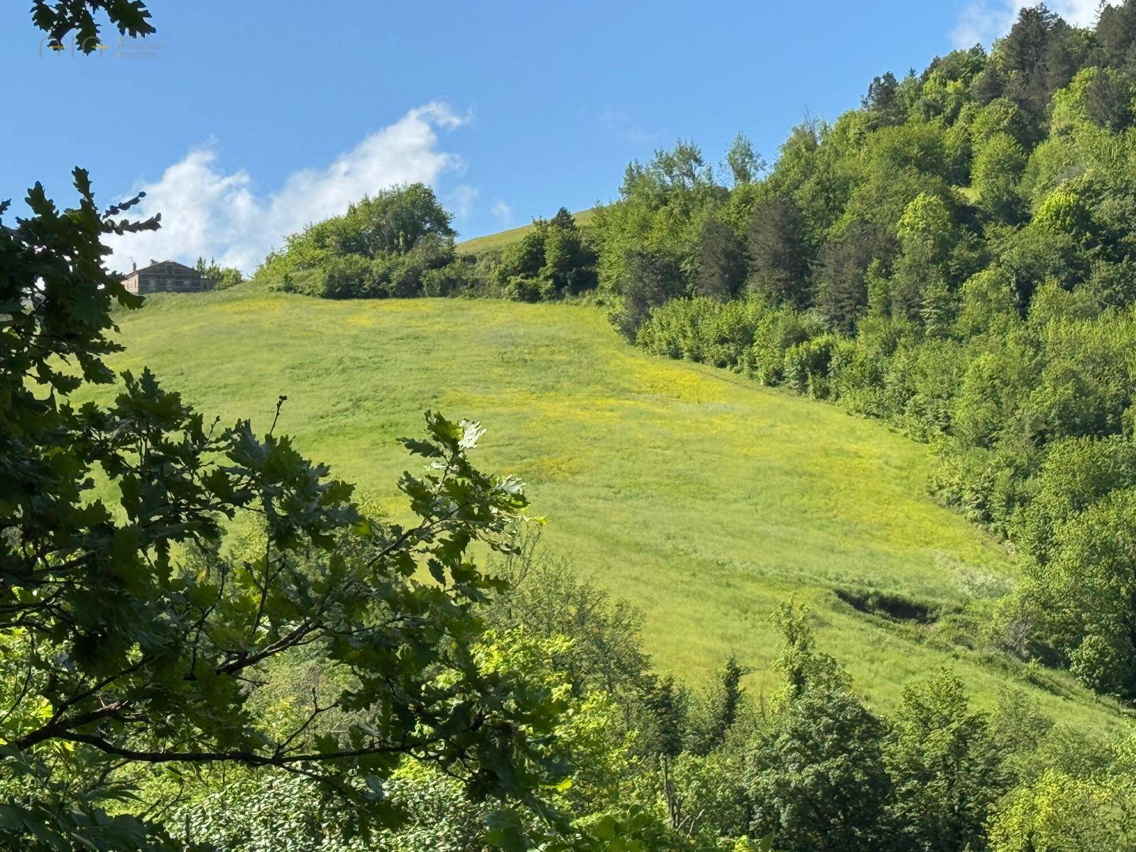 Terreno Agricolo in vendita a Montefortino, Montana