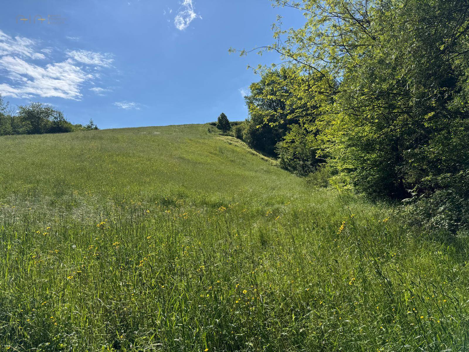 Terreno Agricolo in vendita a Montefortino, Montana