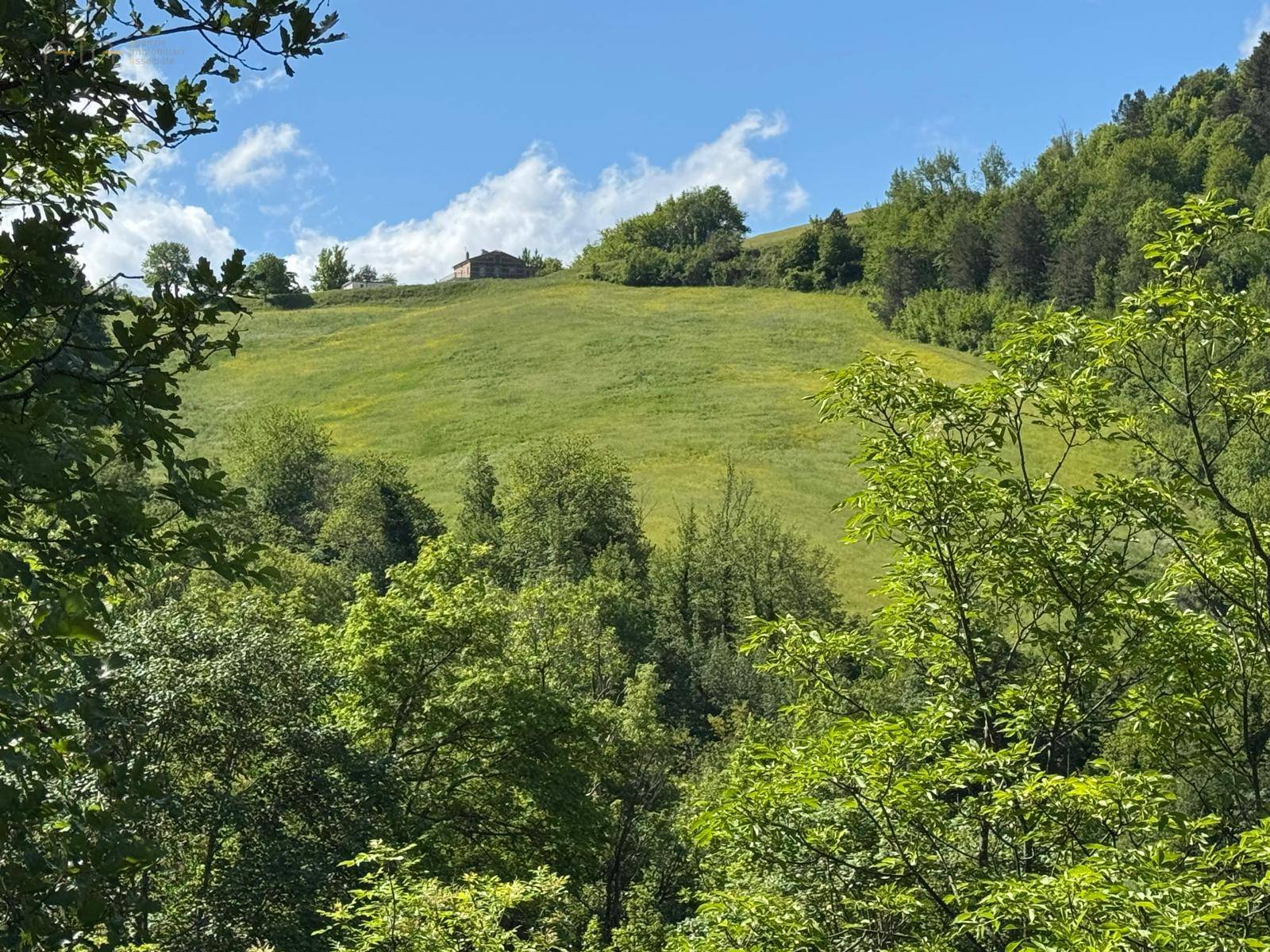 Terreno Agricolo in vendita a Montefortino, Montana