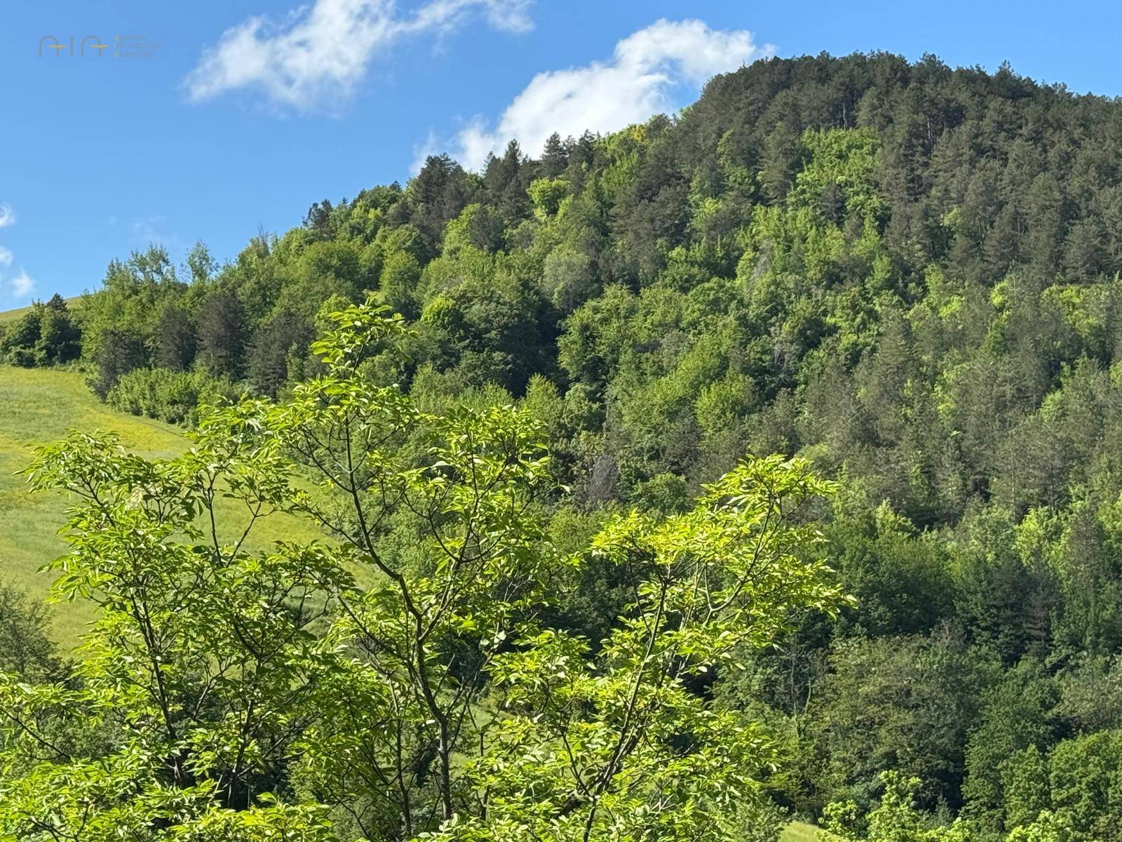 Terreno Agricolo in vendita a Montefortino, Montana