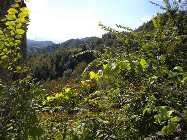 Casale Colonico Rustico in vendita a Comunanza, Montana