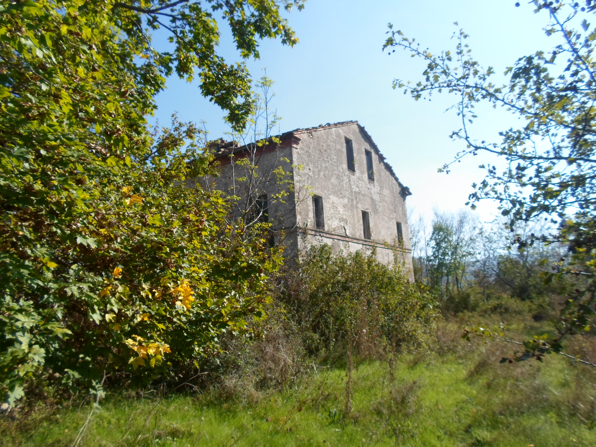 Casale Colonico Rustico in vendita a Montefalcone Appennino, Collinare