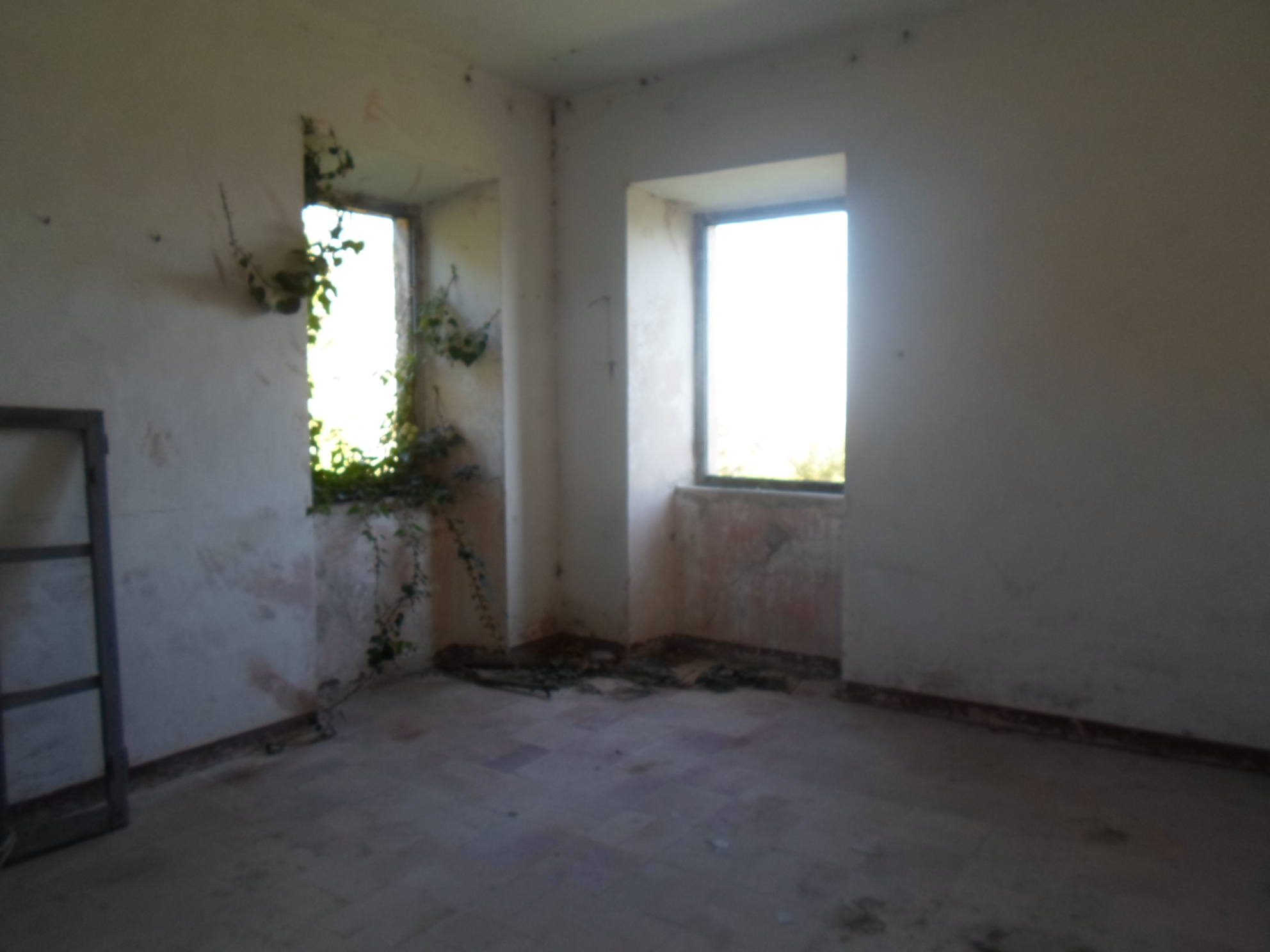 Casale Colonico Rustico in vendita a Montefalcone Appennino, Collinare