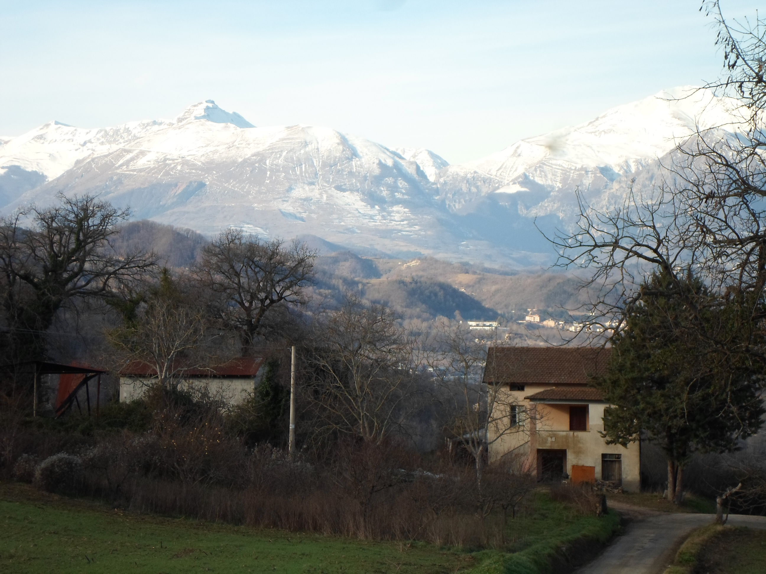Casale Colonico Rustico in vendita a Force, Collinare
