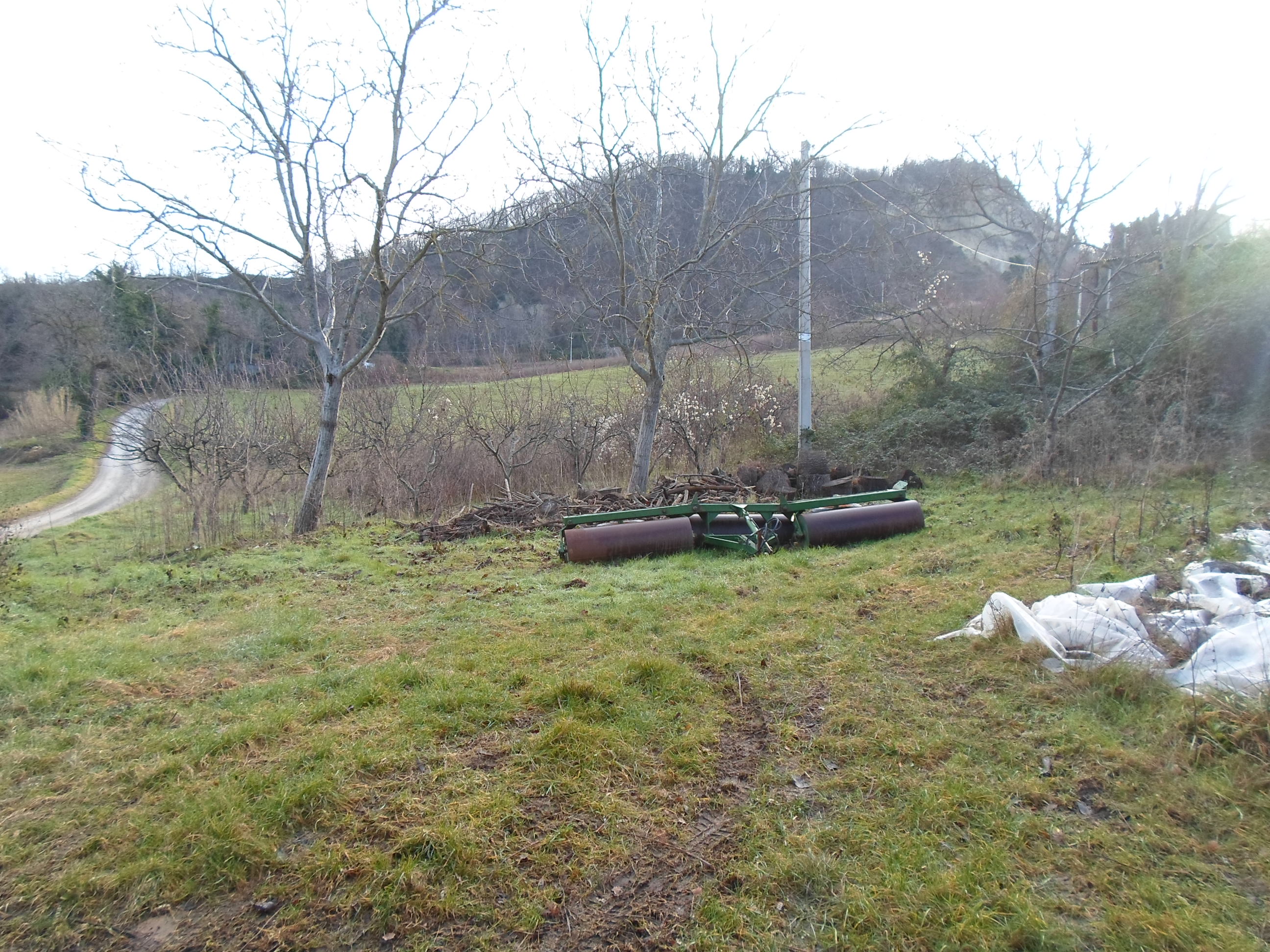Casale Colonico Rustico in vendita a Force, Collinare