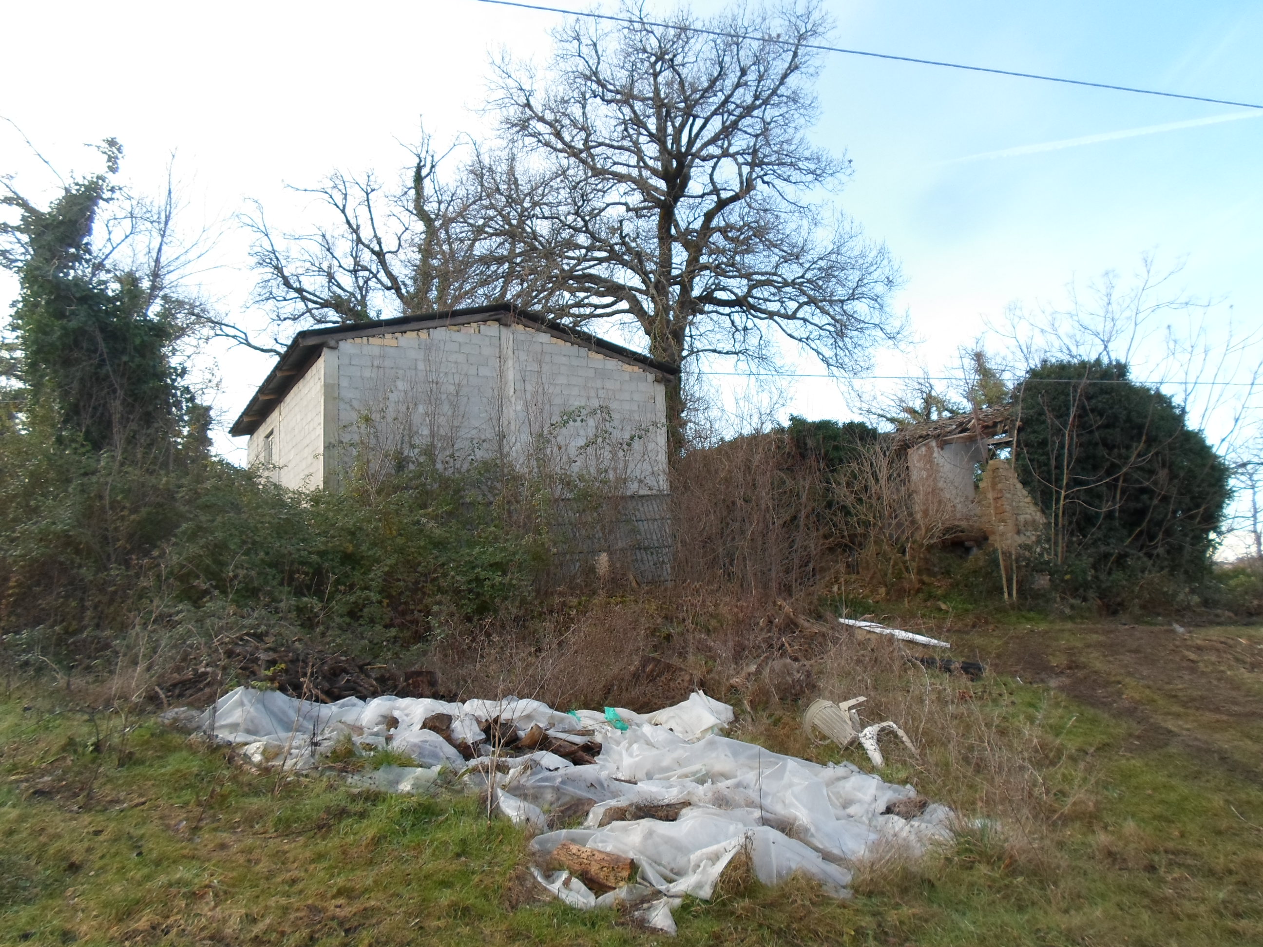 Casale Colonico Rustico in vendita a Force, Collinare