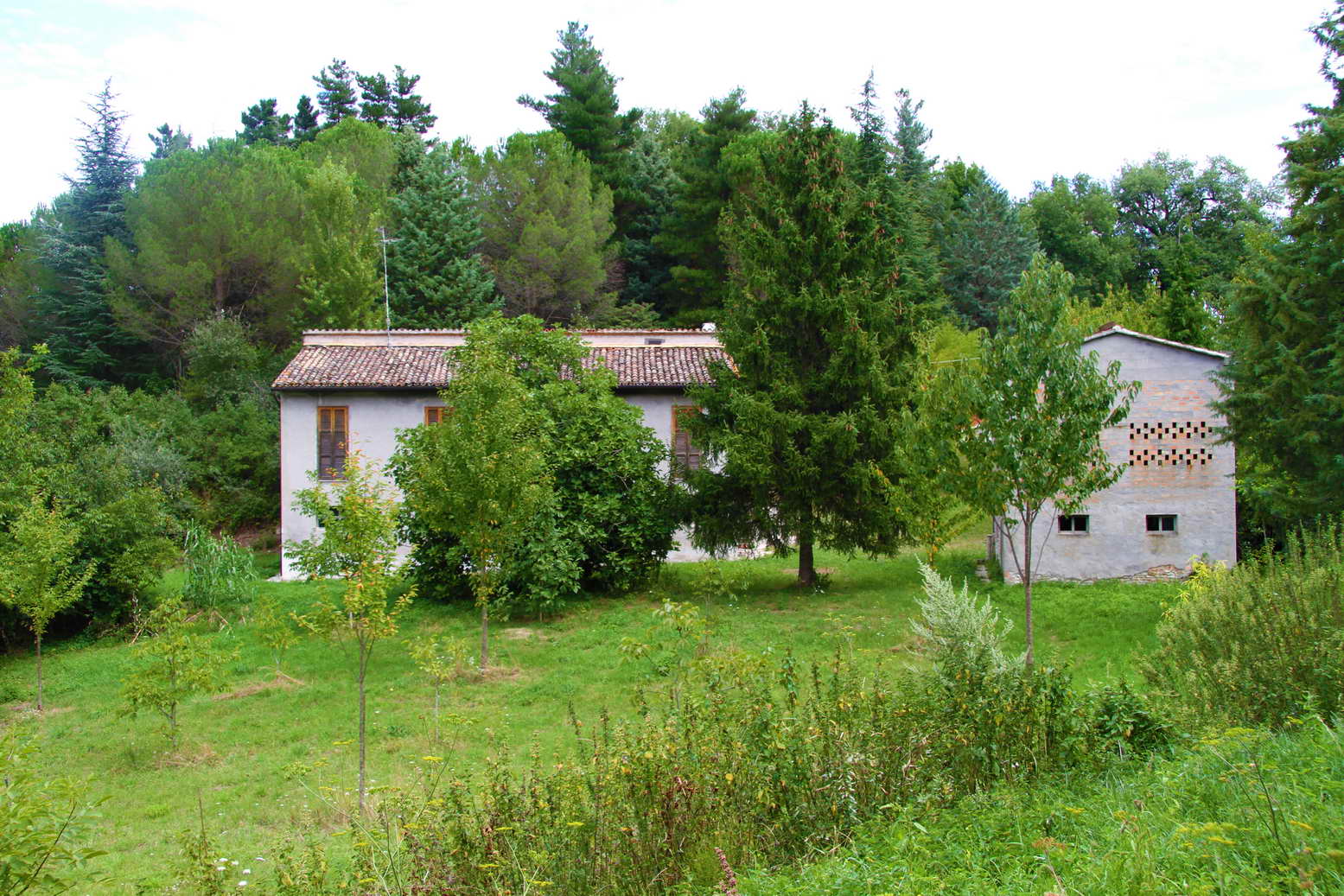 Casale Colonico Rustico in vendita a San Ginesio