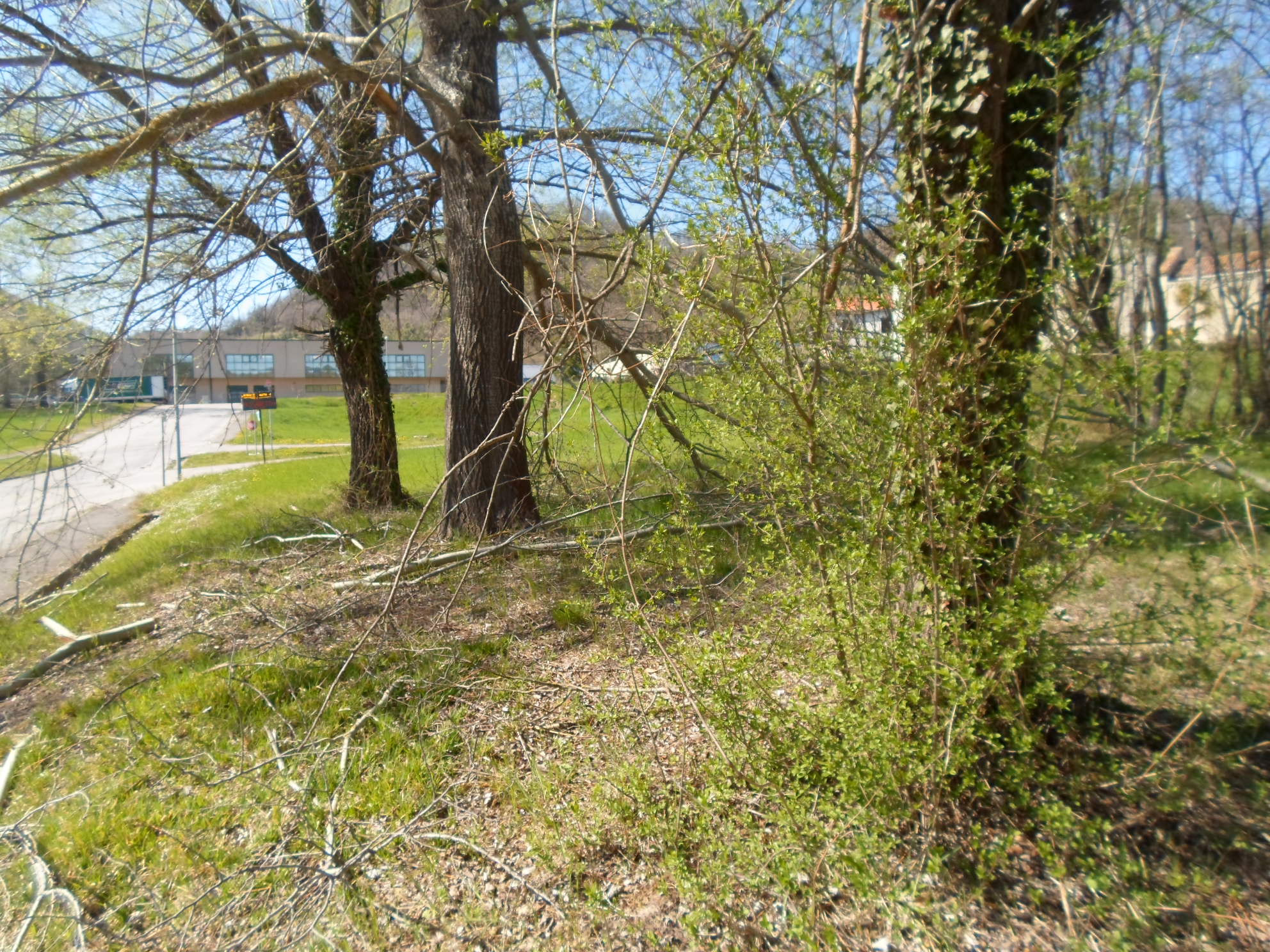 Terreno Edificabile Artigianale / Industriale in vendita a Comunanza, Centrale / Centro Storico