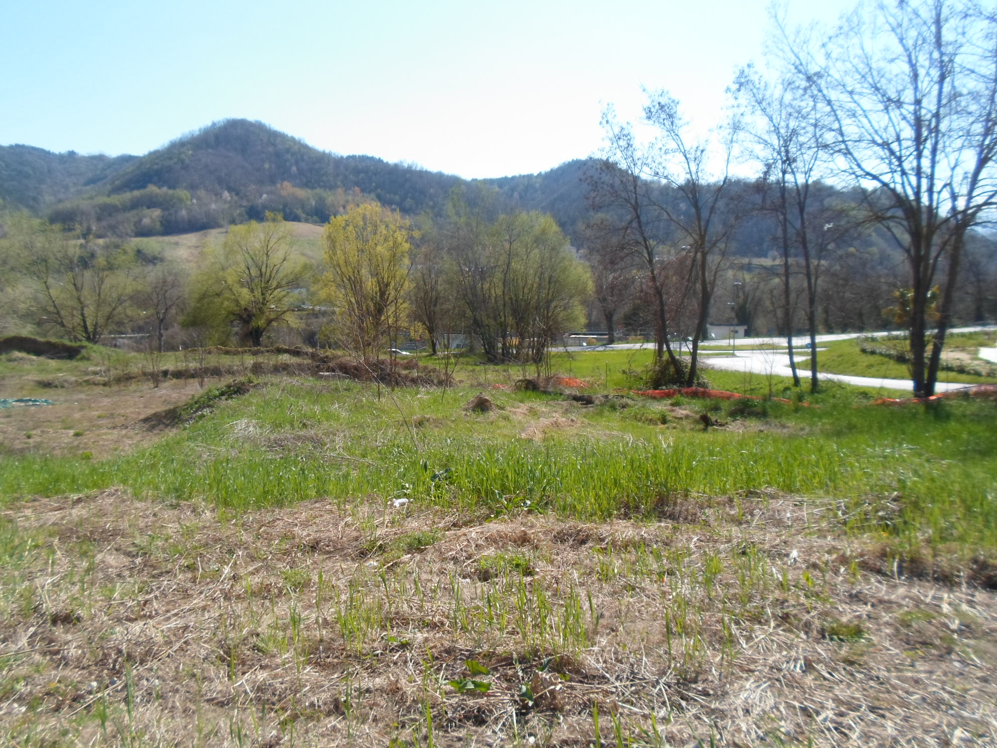 Terreno Edificabile Artigianale / Industriale in vendita a Comunanza, Centrale / Centro Storico