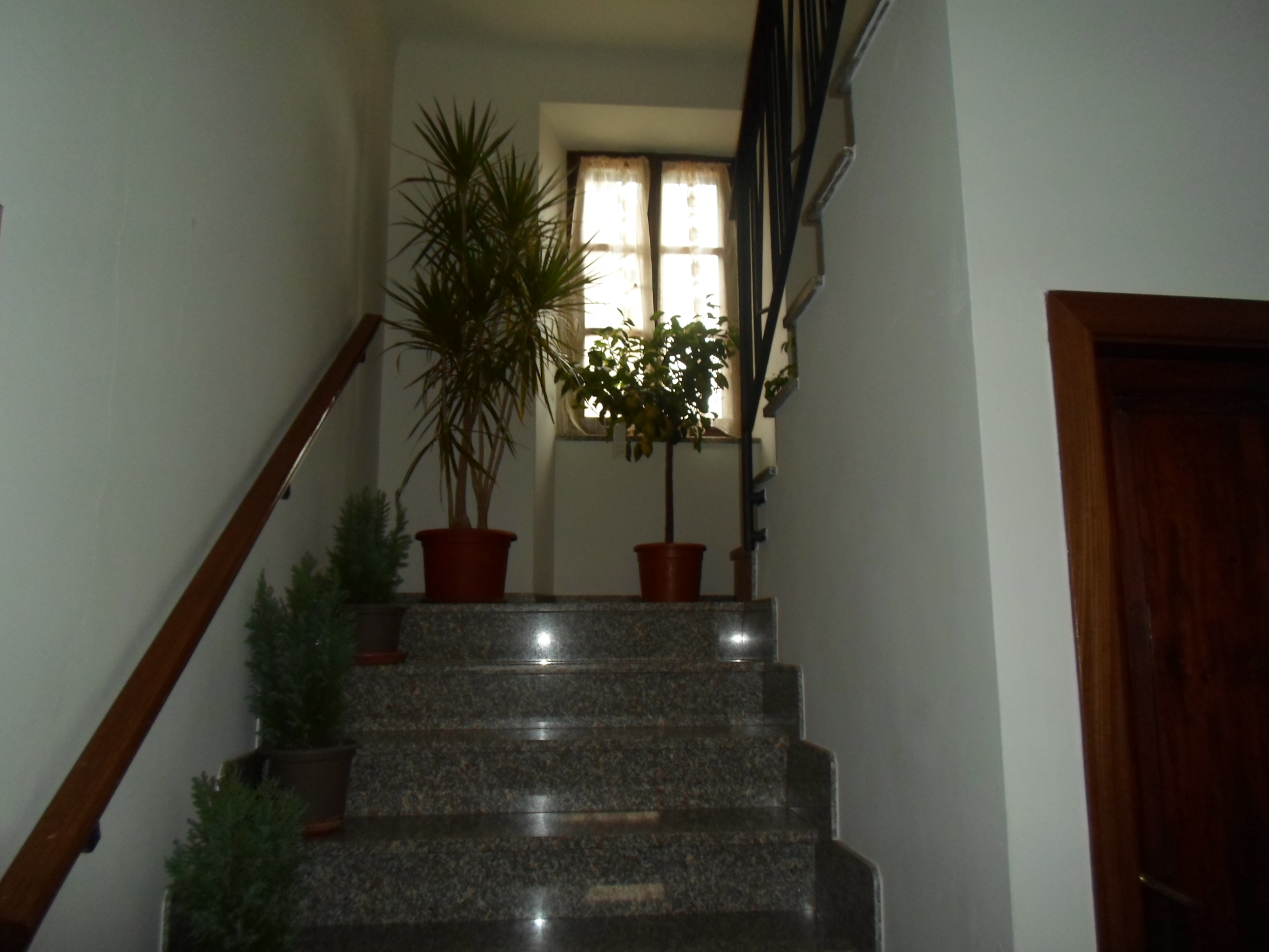 Stabile / Palazzo in vendita a Montefalcone Appennino, Collinare