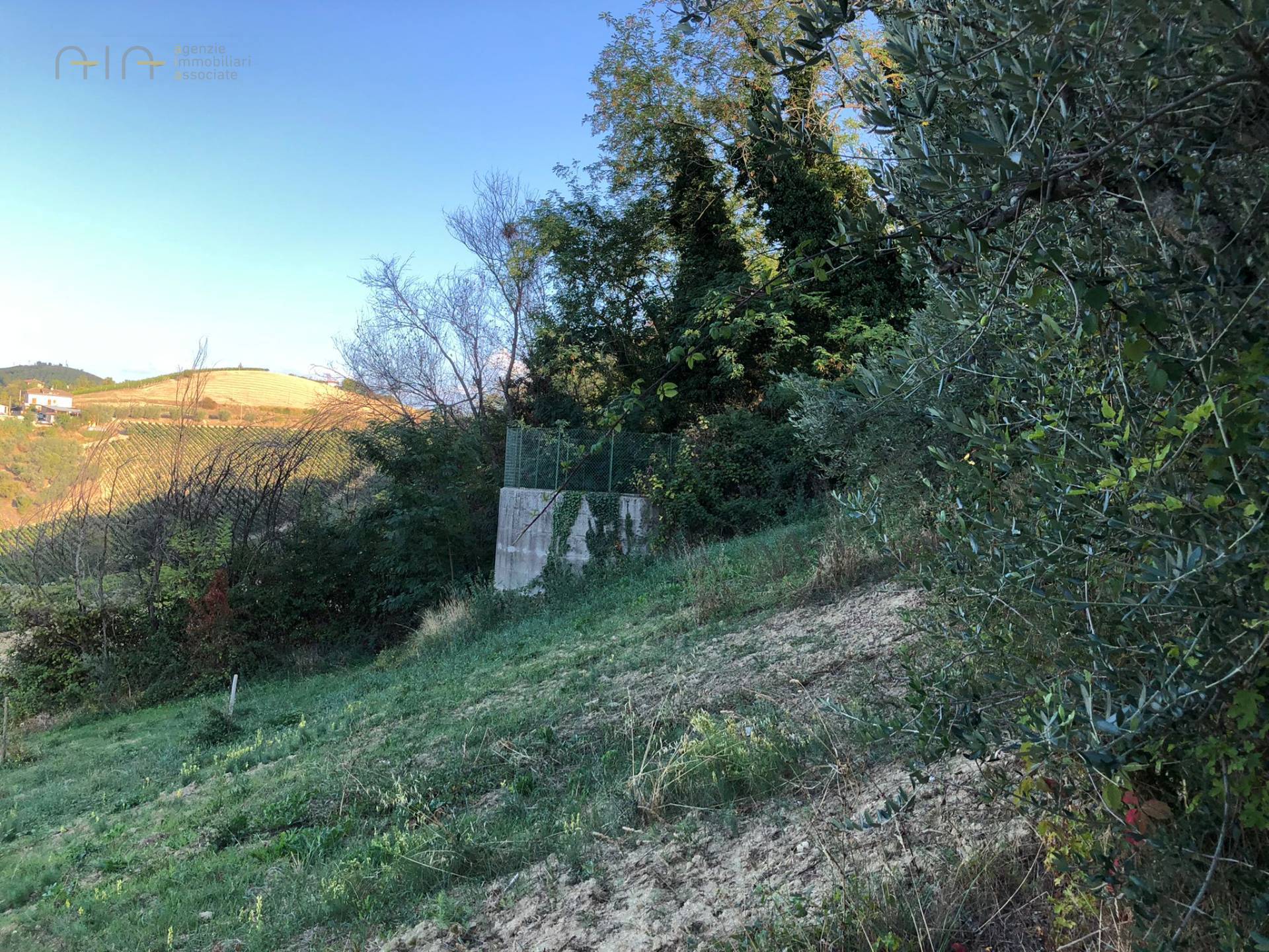 Casale Colonico Rustico in vendita a Ripatransone, Collinare