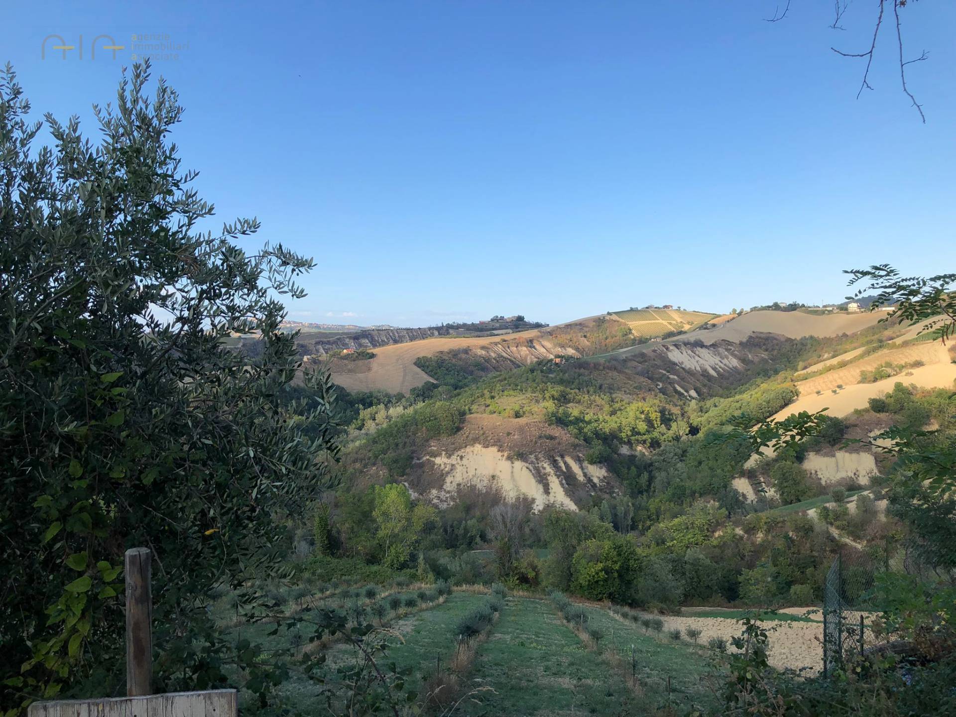 Casale Colonico Rustico in vendita a Ripatransone, Collinare