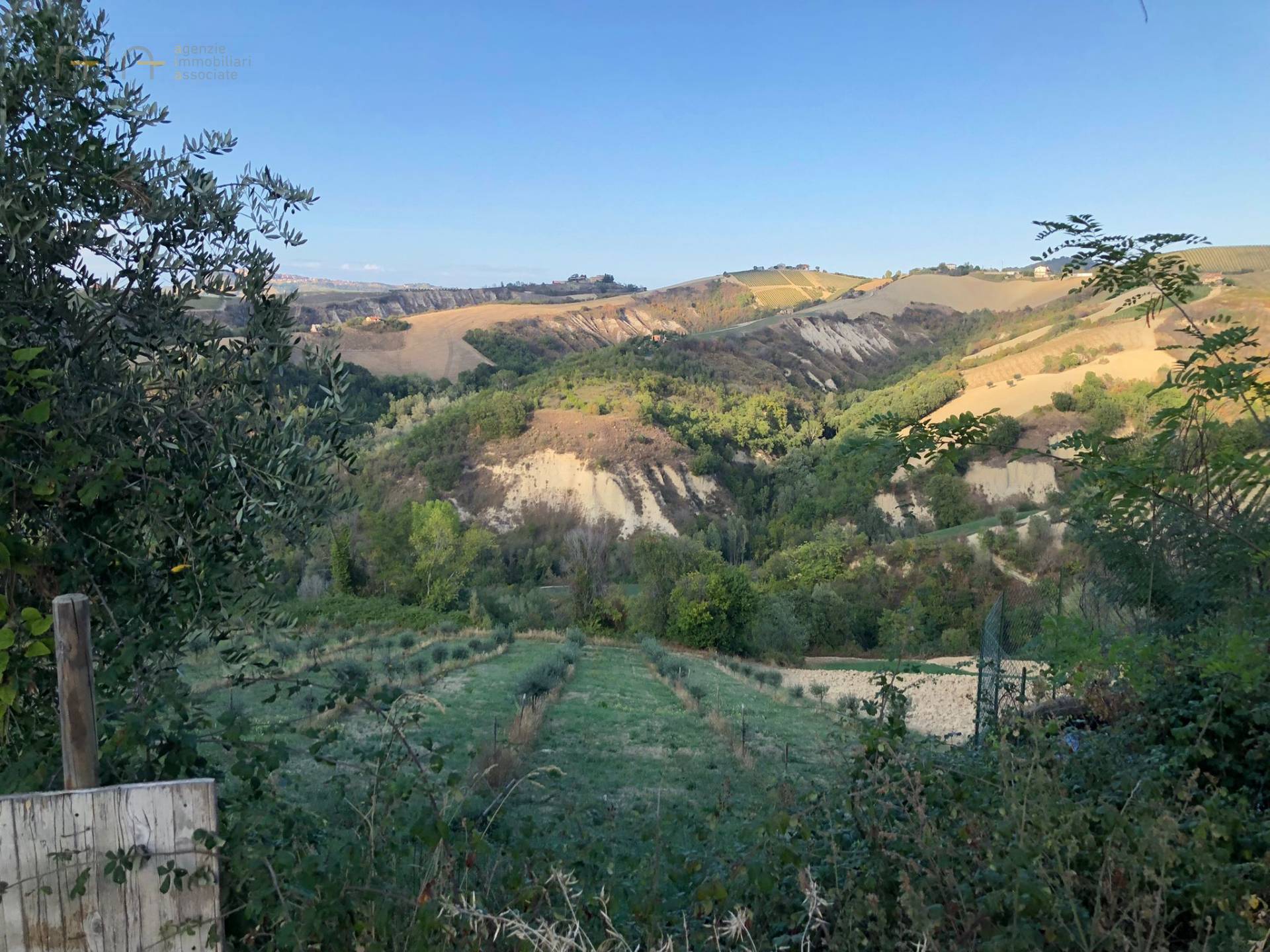 Casale Colonico Rustico in vendita a Ripatransone, Collinare