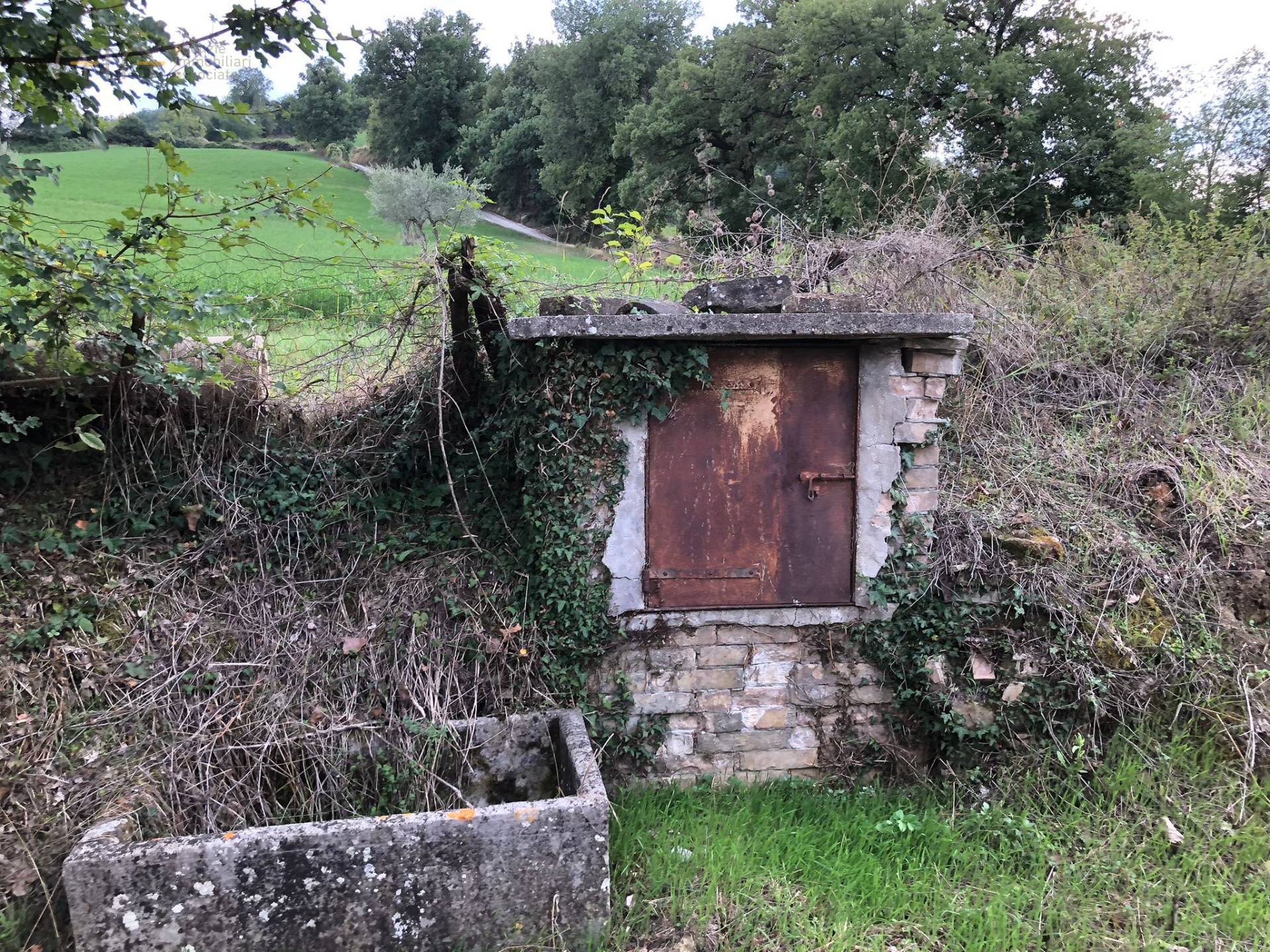 Casale Colonico Rustico in vendita a Penna San Giovanni