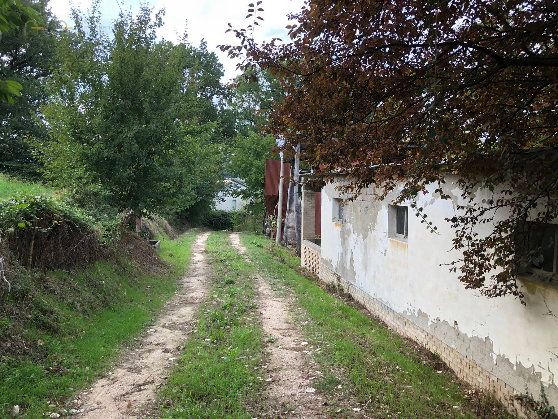 Casale Colonico Rustico in vendita a Penna San Giovanni