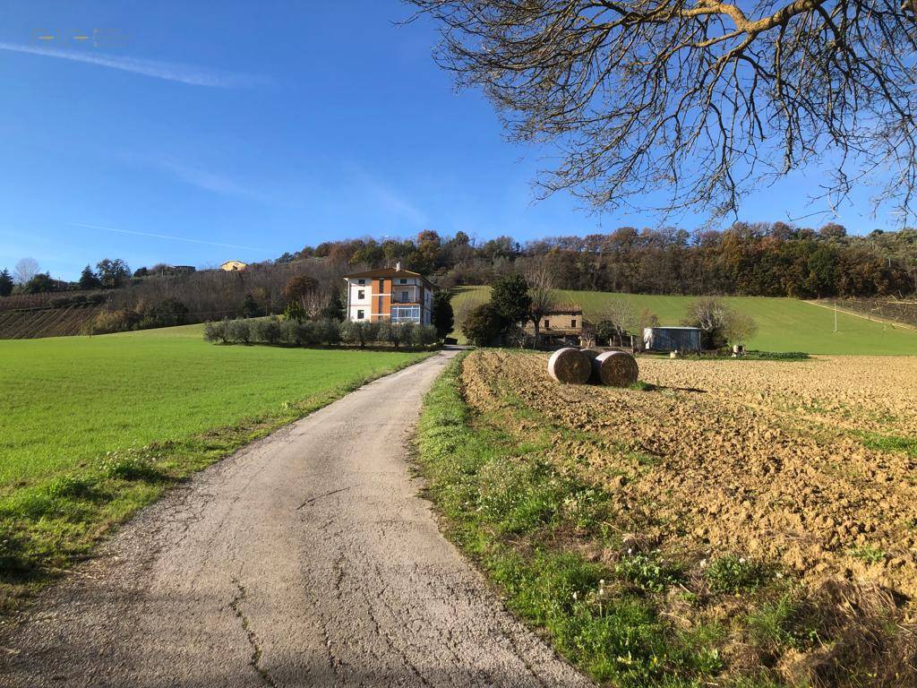 Villa singola in vendita a Ripatransone, Collinare